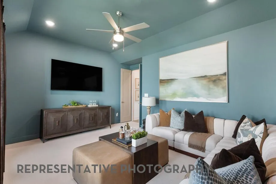 Entertainment Room