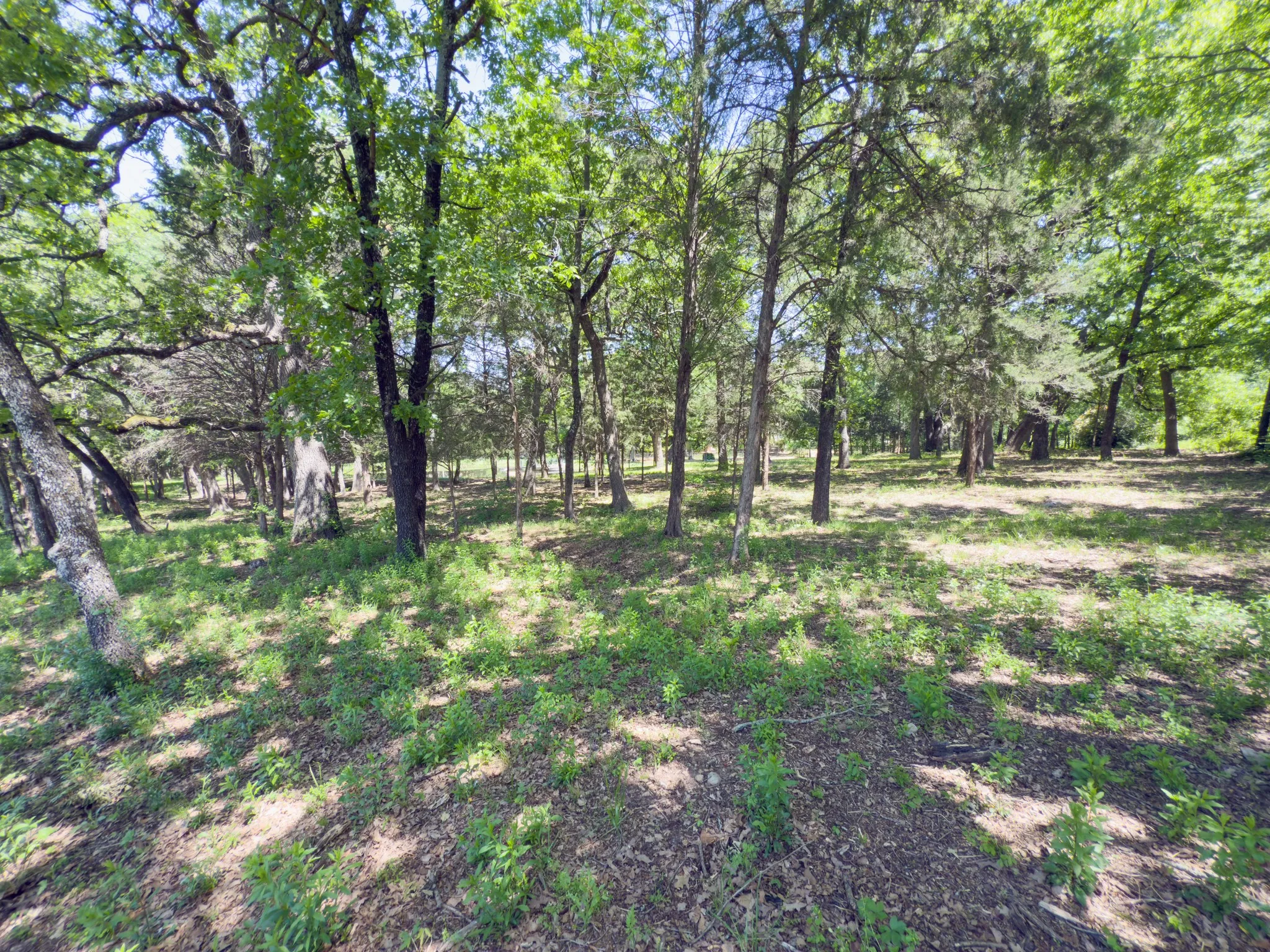 Single Family Residence For Sale in Henderson County , 125 Harrell Street, Gun Barrel City, Texas 75156, 4 Bedroom, 3 Bathroom, 3 Garage spaces, 2,886 Sqft, built in 1980, mls#21399193, Real Estate Agent in Gun Barrel City, Homes For Sale in Henderson county, Homes For Sale in Gun Barrel City, Realtor in Gun Barrel City Texas, Real Estate Brokerage Independent Realty Texas, Luminita Cordes Realtor