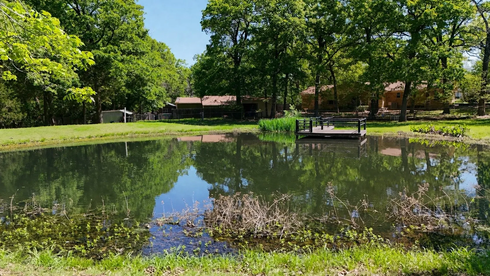 View of pond from back of property looking toward back of main house and guest house.