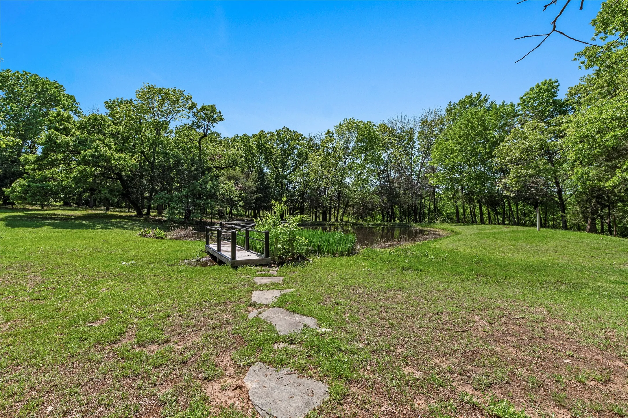 View of pond from back yard of main house