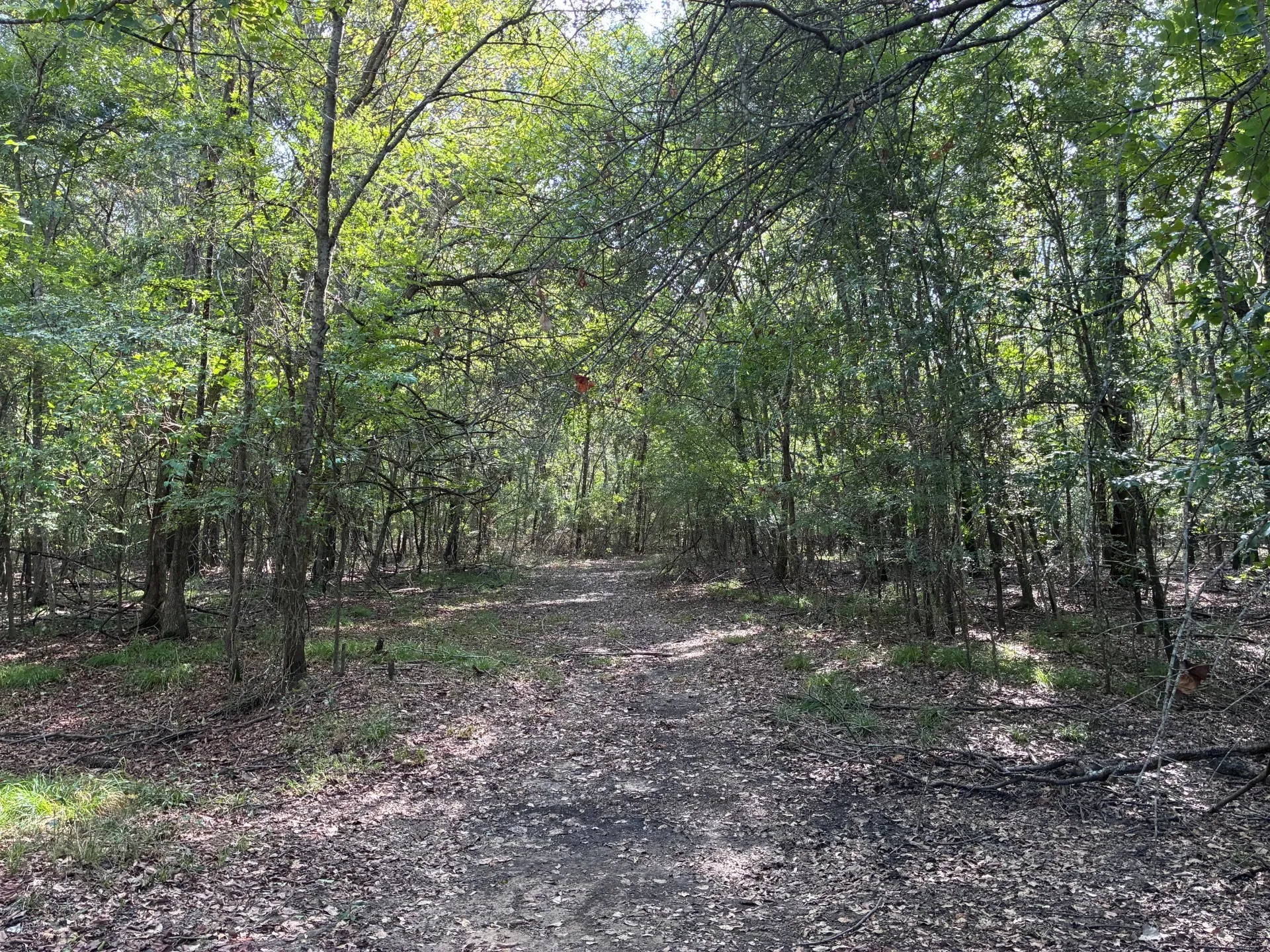 Unimproved Land For Sale in Freestone County , TBD FM 833, Fairfield, Texas 75840, 0, 0, Garage spaces, 0 Sqft, built in 0, mls#21399671, Real Estate Agent in Fairfield, Homes For Sale in Freestone county, Homes For Sale in Fairfield, Realtor in Fairfield Texas, Real Estate Brokerage Independent Realty Texas, Luminita Cordes Realtor