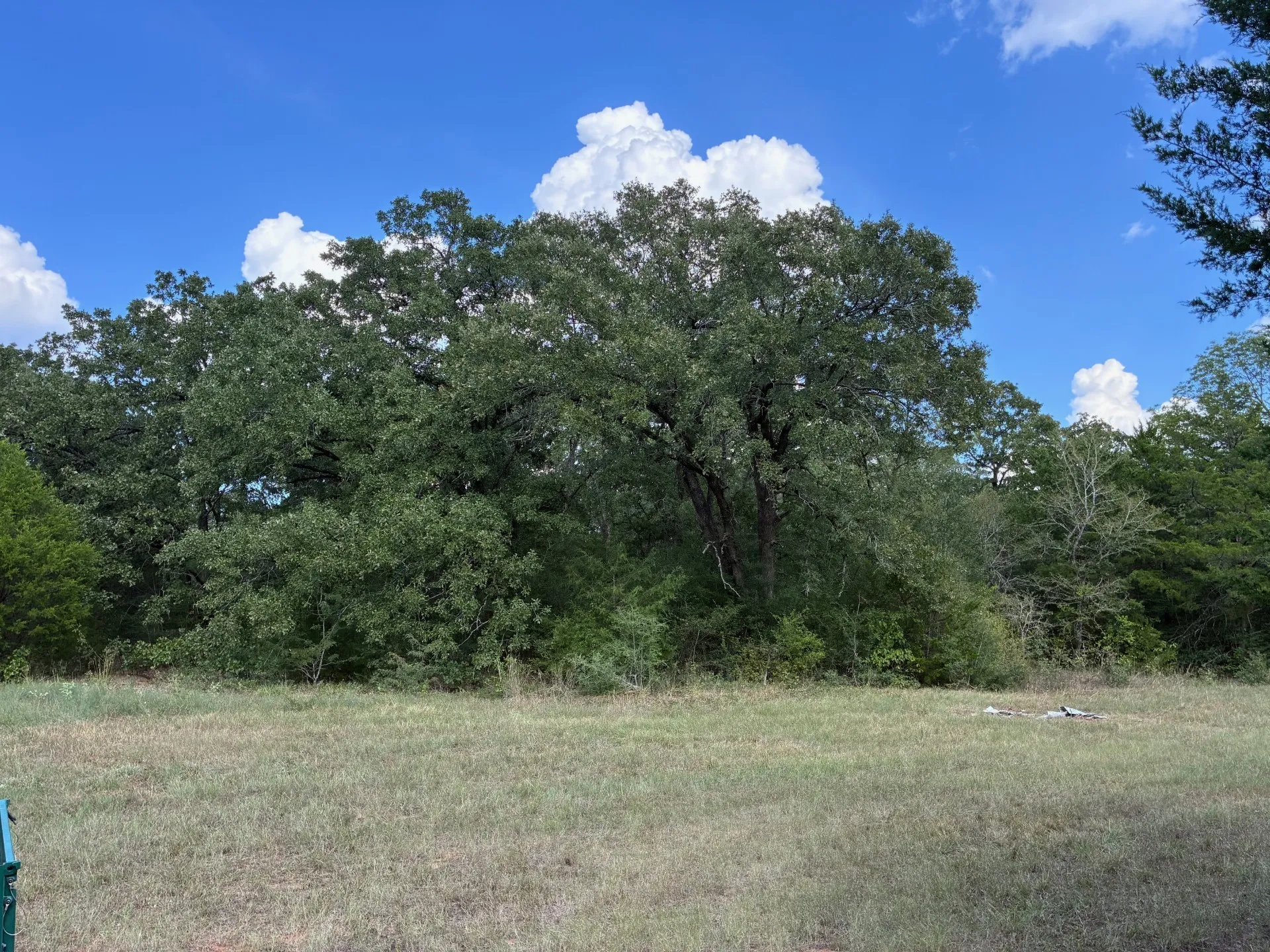 Unimproved Land For Sale in Freestone County , TBD FM 833, Fairfield, Texas 75840, 0, 0, Garage spaces, 0 Sqft, built in 0, mls#21399671, Real Estate Agent in Fairfield, Homes For Sale in Freestone county, Homes For Sale in Fairfield, Realtor in Fairfield Texas, Real Estate Brokerage Independent Realty Texas, Luminita Cordes Realtor