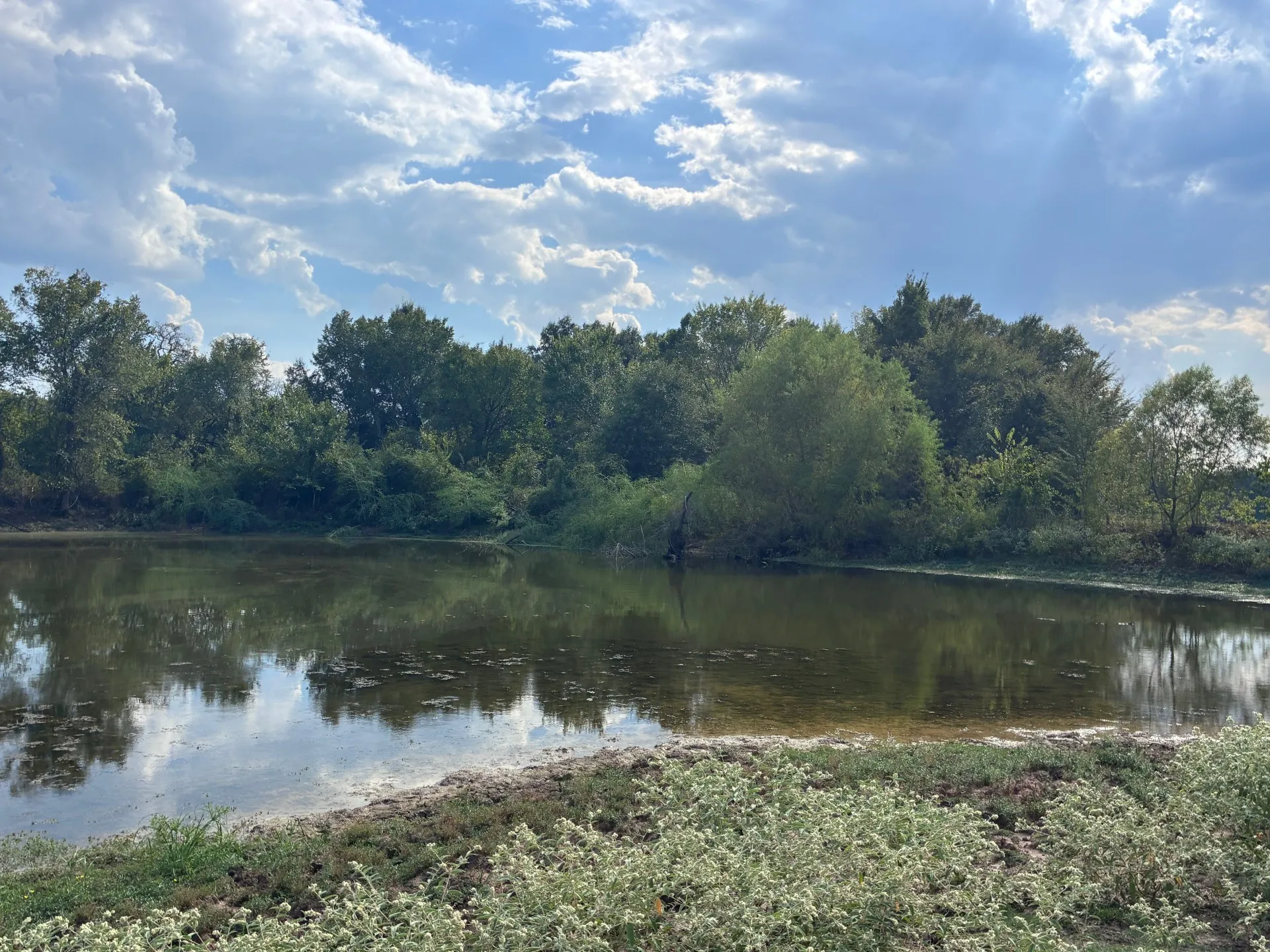 Unimproved Land For Sale in Freestone County , TBD FM 833, Fairfield, Texas 75840, 0, 0, Garage spaces, 0 Sqft, built in 0, mls#21399671, Real Estate Agent in Fairfield, Homes For Sale in Freestone county, Homes For Sale in Fairfield, Realtor in Fairfield Texas, Real Estate Brokerage Independent Realty Texas, Luminita Cordes Realtor