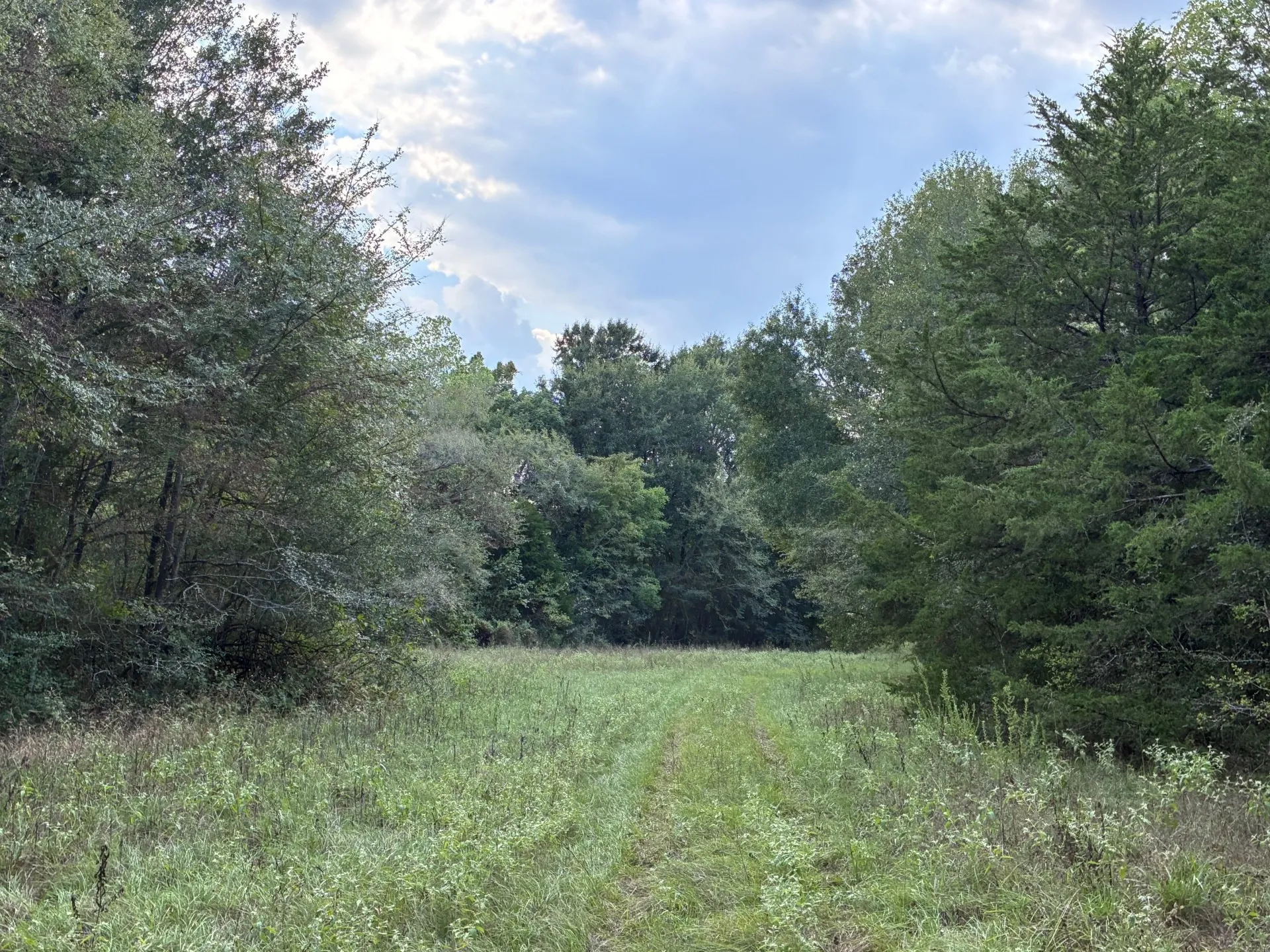 Unimproved Land For Sale in Freestone County , TBD FM 833, Fairfield, Texas 75840, 0, 0, Garage spaces, 0 Sqft, built in 0, mls#21399671, Real Estate Agent in Fairfield, Homes For Sale in Freestone county, Homes For Sale in Fairfield, Realtor in Fairfield Texas, Real Estate Brokerage Independent Realty Texas, Luminita Cordes Realtor