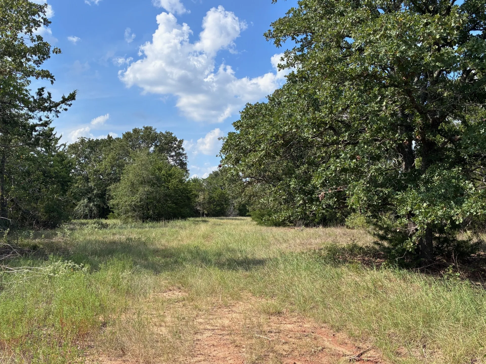 Unimproved Land For Sale in Freestone County , TBD FM 833, Fairfield, Texas 75840, 0, 0, Garage spaces, 0 Sqft, built in 0, mls#21399671, Real Estate Agent in Fairfield, Homes For Sale in Freestone county, Homes For Sale in Fairfield, Realtor in Fairfield Texas, Real Estate Brokerage Independent Realty Texas, Luminita Cordes Realtor