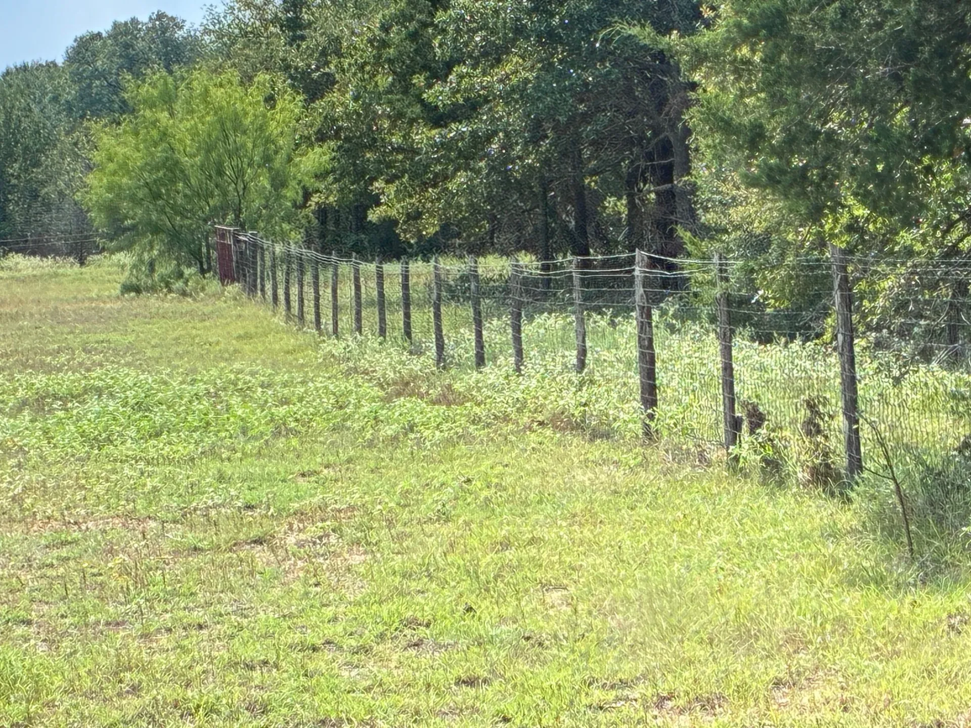 Unimproved Land For Sale in Freestone County , TBD FM 833, Fairfield, Texas 75840, 0, 0, Garage spaces, 0 Sqft, built in 0, mls#21399671, Real Estate Agent in Fairfield, Homes For Sale in Freestone county, Homes For Sale in Fairfield, Realtor in Fairfield Texas, Real Estate Brokerage Independent Realty Texas, Luminita Cordes Realtor