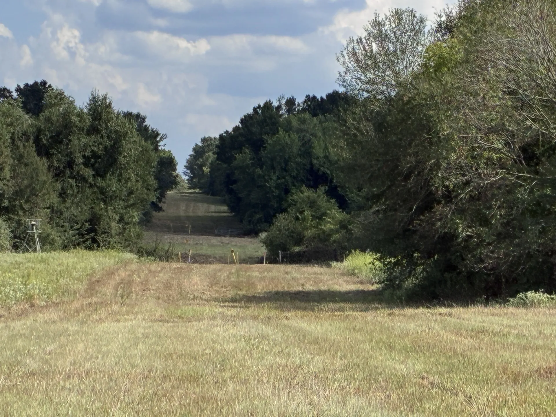 Unimproved Land For Sale in Freestone County , TBD FM 833, Fairfield, Texas 75840, 0, 0, Garage spaces, 0 Sqft, built in 0, mls#21399671, Real Estate Agent in Fairfield, Homes For Sale in Freestone county, Homes For Sale in Fairfield, Realtor in Fairfield Texas, Real Estate Brokerage Independent Realty Texas, Luminita Cordes Realtor