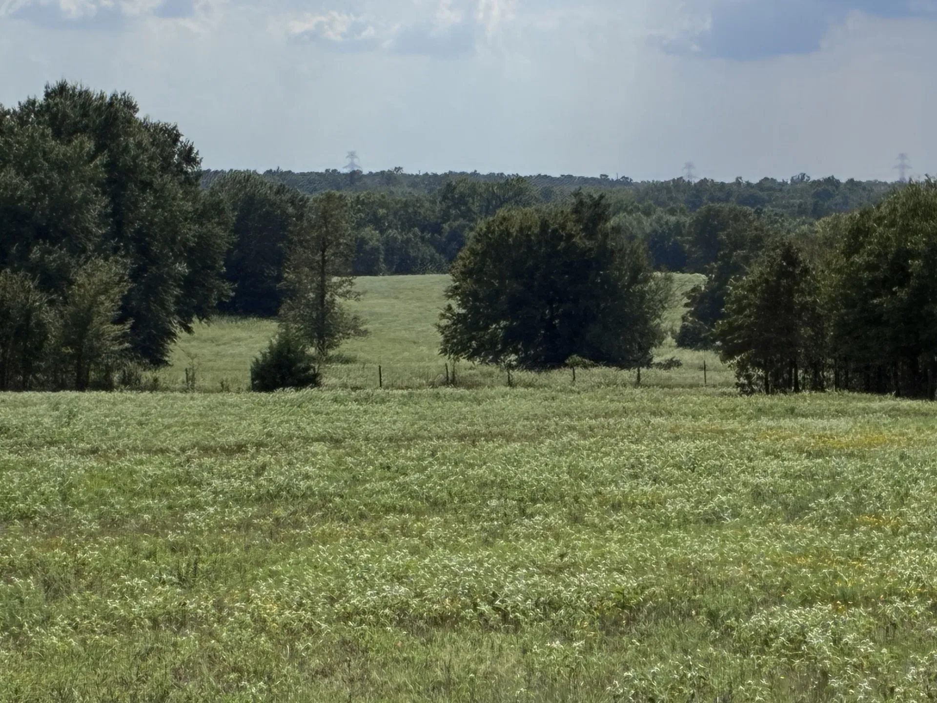 Unimproved Land For Sale in Freestone County , TBD FM 833, Fairfield, Texas 75840, 0, 0, Garage spaces, 0 Sqft, built in 0, mls#21399671, Real Estate Agent in Fairfield, Homes For Sale in Freestone county, Homes For Sale in Fairfield, Realtor in Fairfield Texas, Real Estate Brokerage Independent Realty Texas, Luminita Cordes Realtor