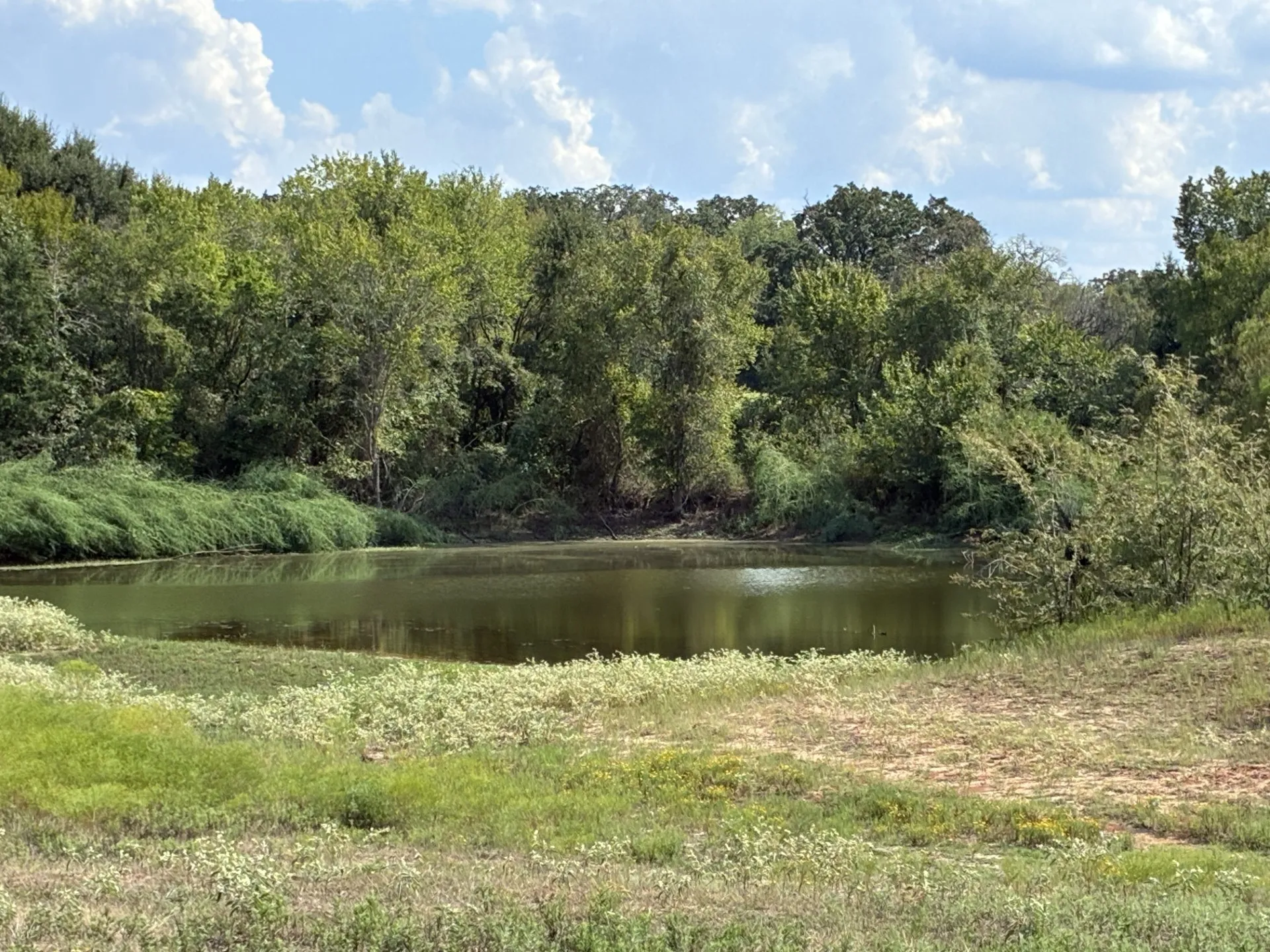 Unimproved Land For Sale in Freestone County , TBD FM 833, Fairfield, Texas 75840, 0, 0, Garage spaces, 0 Sqft, built in 0, mls#21399671, Real Estate Agent in Fairfield, Homes For Sale in Freestone county, Homes For Sale in Fairfield, Realtor in Fairfield Texas, Real Estate Brokerage Independent Realty Texas, Luminita Cordes Realtor