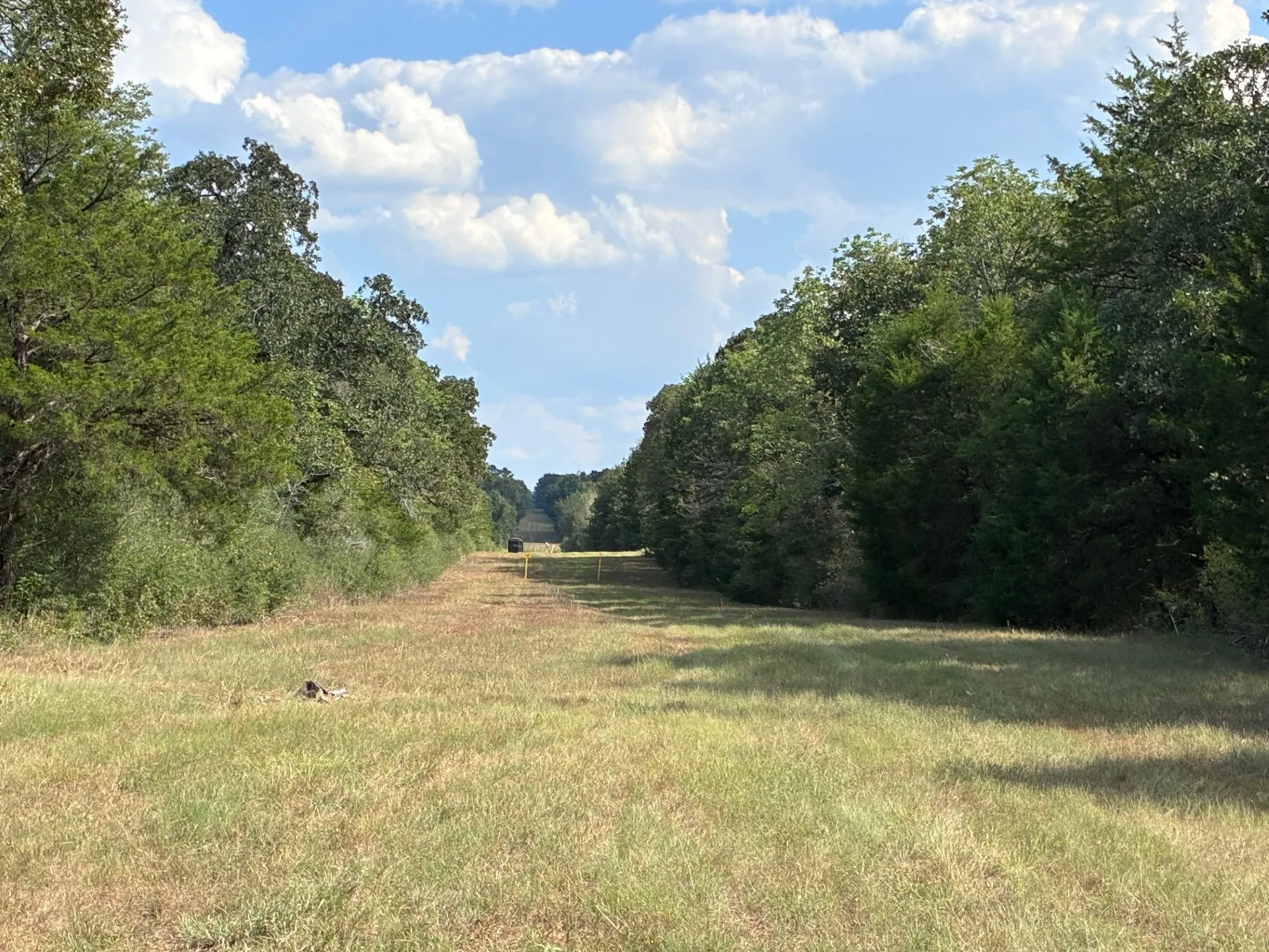 Unimproved Land For Sale in Freestone County , TBD FM 833, Fairfield, Texas 75840, 0, 0, Garage spaces, 0 Sqft, built in 0, mls#21399671, Real Estate Agent in Fairfield, Homes For Sale in Freestone county, Homes For Sale in Fairfield, Realtor in Fairfield Texas, Real Estate Brokerage Independent Realty Texas, Luminita Cordes Realtor