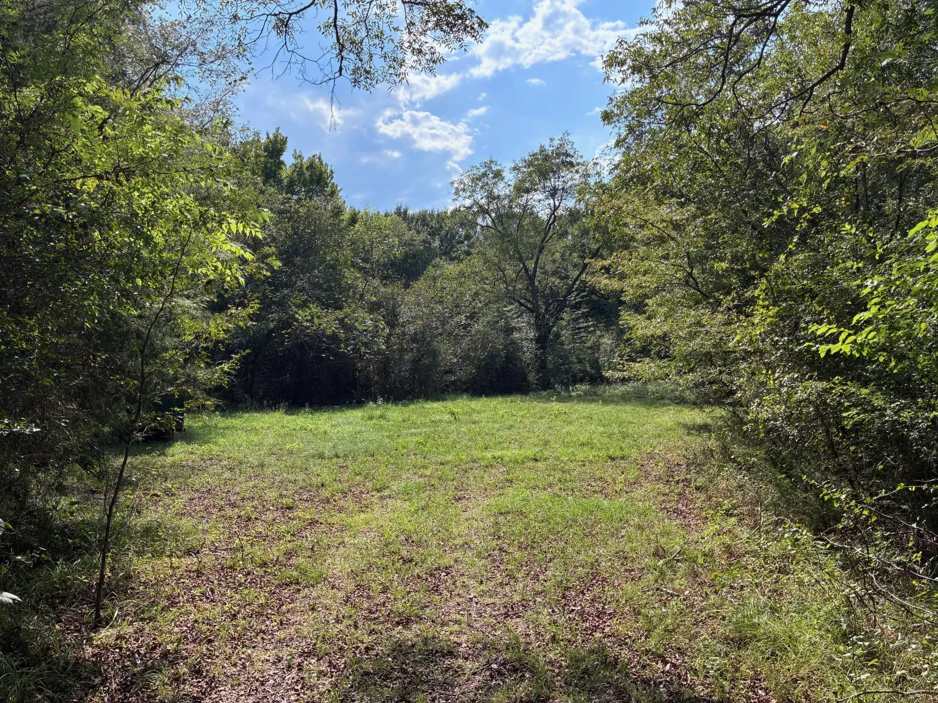 Unimproved Land For Sale in Freestone County , TBD FM 833, Fairfield, Texas 75840, 0, 0, Garage spaces, 0 Sqft, built in 0, mls#21399671, Real Estate Agent in Fairfield, Homes For Sale in Freestone county, Homes For Sale in Fairfield, Realtor in Fairfield Texas, Real Estate Brokerage Independent Realty Texas, Luminita Cordes Realtor