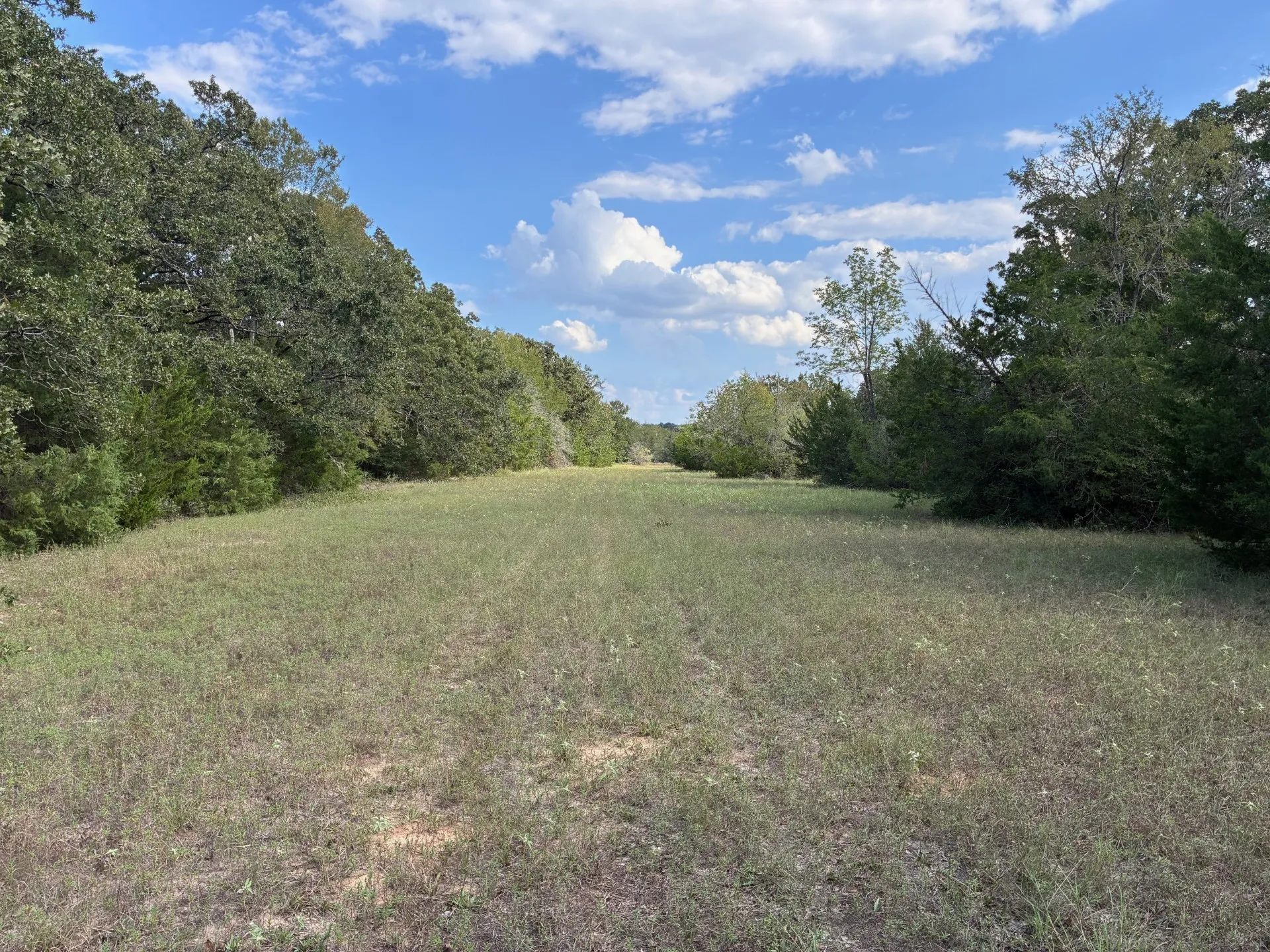 Unimproved Land For Sale in Freestone County , TBD FM 833, Fairfield, Texas 75840, 0, 0, Garage spaces, 0 Sqft, built in 0, mls#21399671, Real Estate Agent in Fairfield, Homes For Sale in Freestone county, Homes For Sale in Fairfield, Realtor in Fairfield Texas, Real Estate Brokerage Independent Realty Texas, Luminita Cordes Realtor