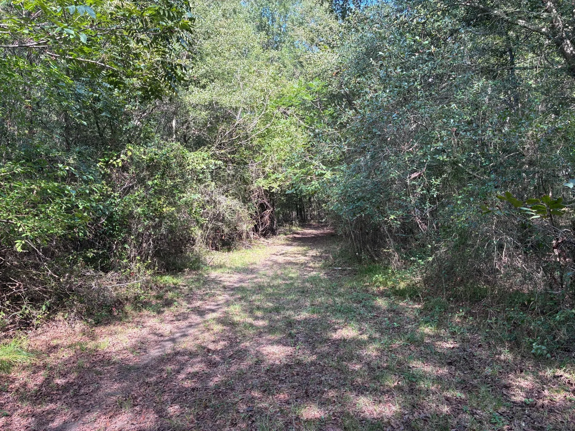 Unimproved Land For Sale in Freestone County , TBD FM 833, Fairfield, Texas 75840, 0, 0, Garage spaces, 0 Sqft, built in 0, mls#21399671, Real Estate Agent in Fairfield, Homes For Sale in Freestone county, Homes For Sale in Fairfield, Realtor in Fairfield Texas, Real Estate Brokerage Independent Realty Texas, Luminita Cordes Realtor