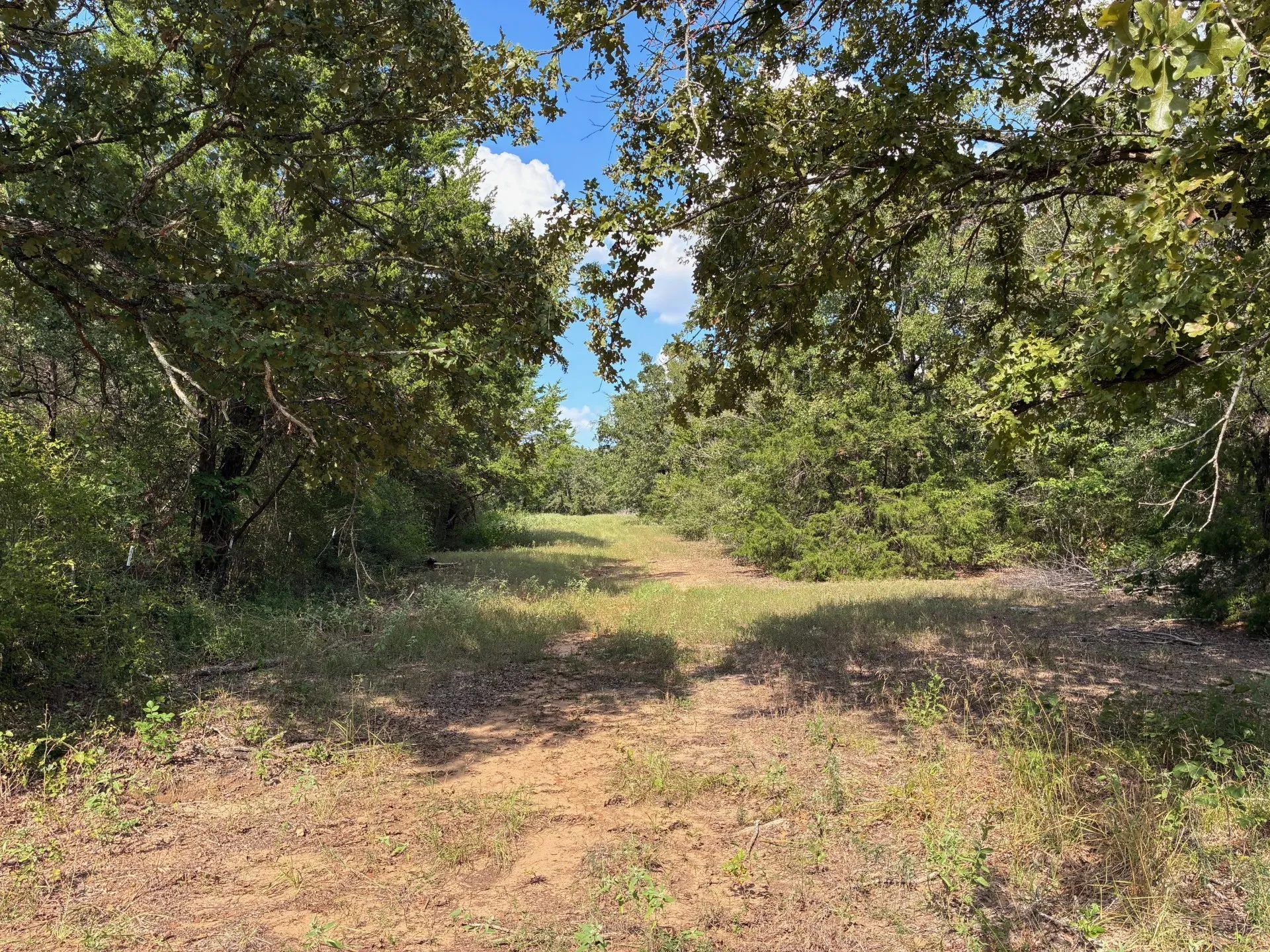 Unimproved Land For Sale in Freestone County , TBD FM 833, Fairfield, Texas 75840, 0, 0, Garage spaces, 0 Sqft, built in 0, mls#21399671, Real Estate Agent in Fairfield, Homes For Sale in Freestone county, Homes For Sale in Fairfield, Realtor in Fairfield Texas, Real Estate Brokerage Independent Realty Texas, Luminita Cordes Realtor