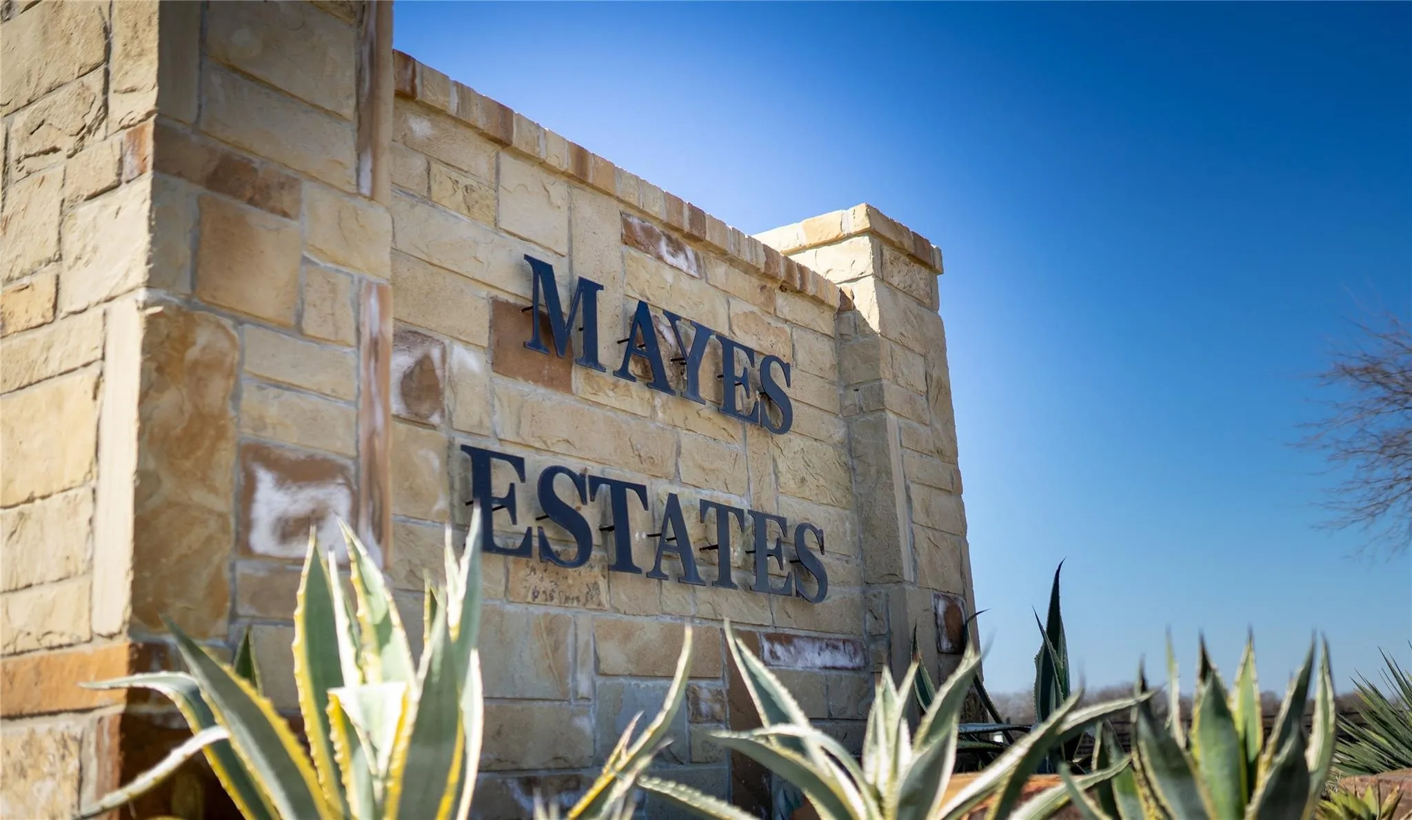 Unimproved Land For Sale in Ellis County , 3831 Jacks Loop, Midlothian, Texas 76065, 0, 0, Garage spaces, 0 Sqft, built in 0, mls#21399785, Real Estate Agent in Midlothian, Homes For Sale in Ellis county, Homes For Sale in Midlothian, Realtor in Midlothian Texas, Real Estate Brokerage Independent Realty Texas, Luminita Cordes Realtor