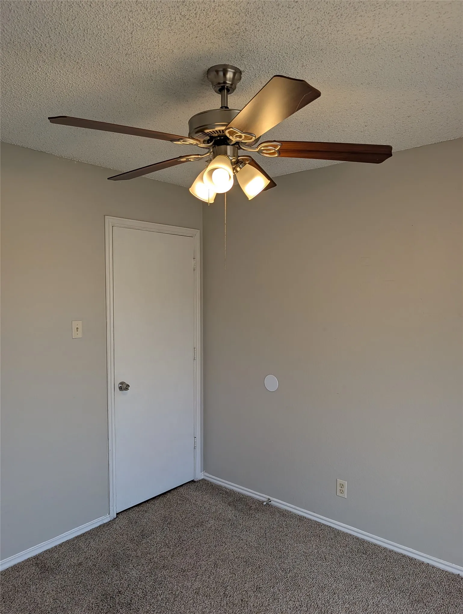 Single Family Residence For Rent in Tarrant County , 1909 Willow Vale Drive, Fort Worth, Texas 76134, 3 Bedroom, 2 Bathroom, 2 Garage spaces, 1,315 Sqft, built in 1984, mls#21399812, Real Estate Agent in Fort Worth, Homes For Rent in Tarrant county, Homes For Rent in Fort Worth, Realtor in Fort Worth Texas, Real Estate Brokerage Independent Realty Texas, Luminita Cordes Realtor