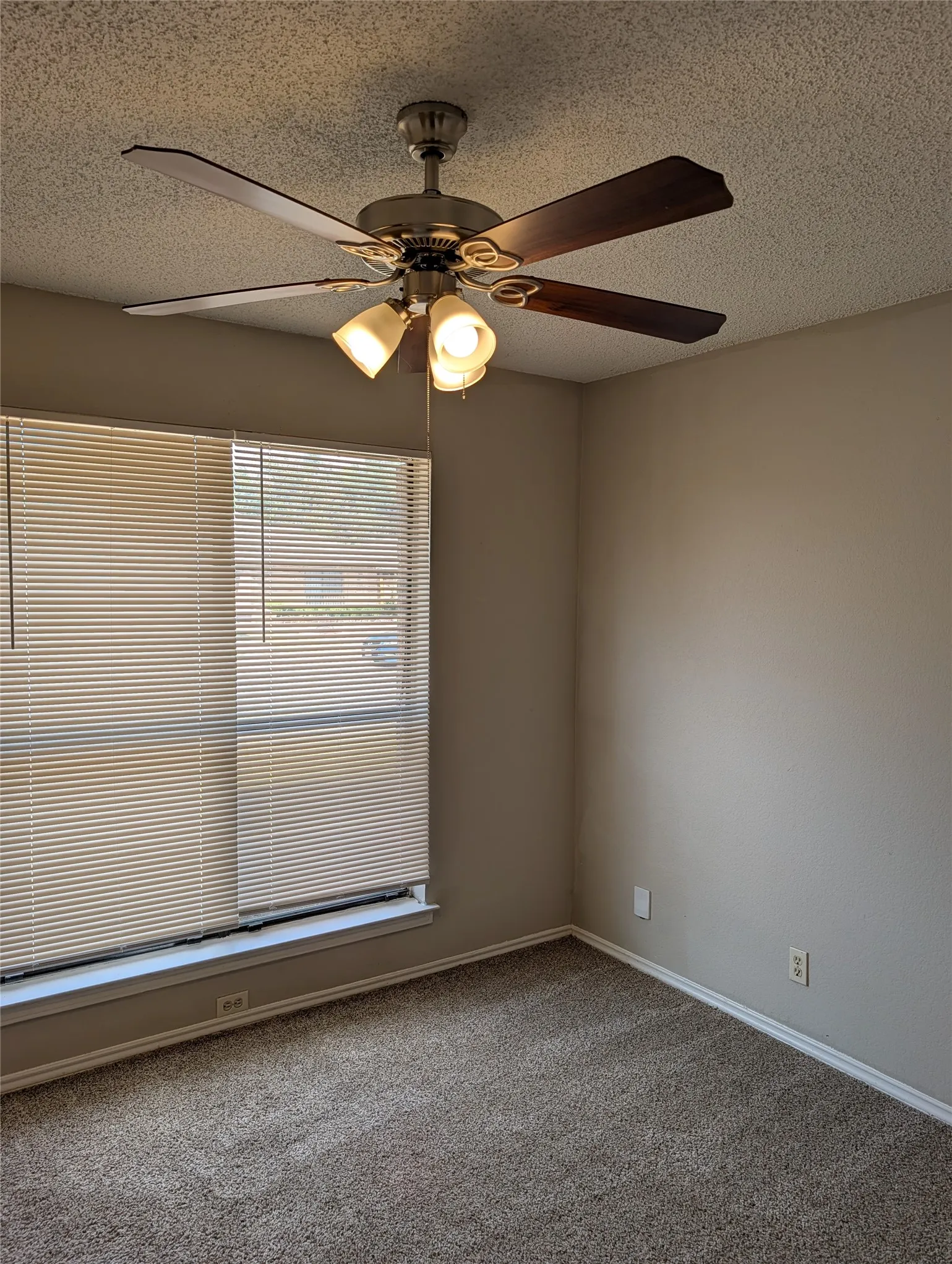 Single Family Residence For Rent in Tarrant County , 1909 Willow Vale Drive, Fort Worth, Texas 76134, 3 Bedroom, 2 Bathroom, 2 Garage spaces, 1,315 Sqft, built in 1984, mls#21399812, Real Estate Agent in Fort Worth, Homes For Rent in Tarrant county, Homes For Rent in Fort Worth, Realtor in Fort Worth Texas, Real Estate Brokerage Independent Realty Texas, Luminita Cordes Realtor