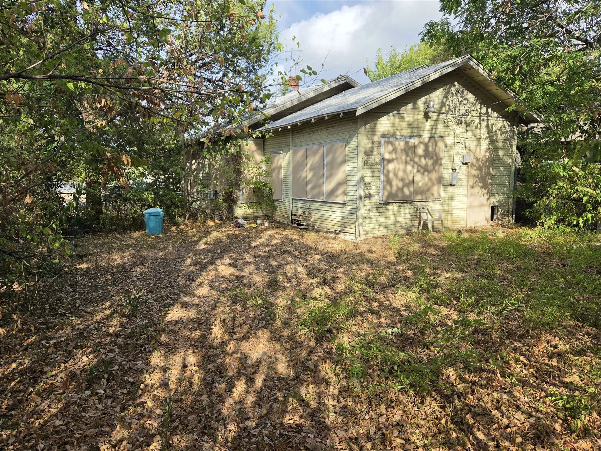 Backyard