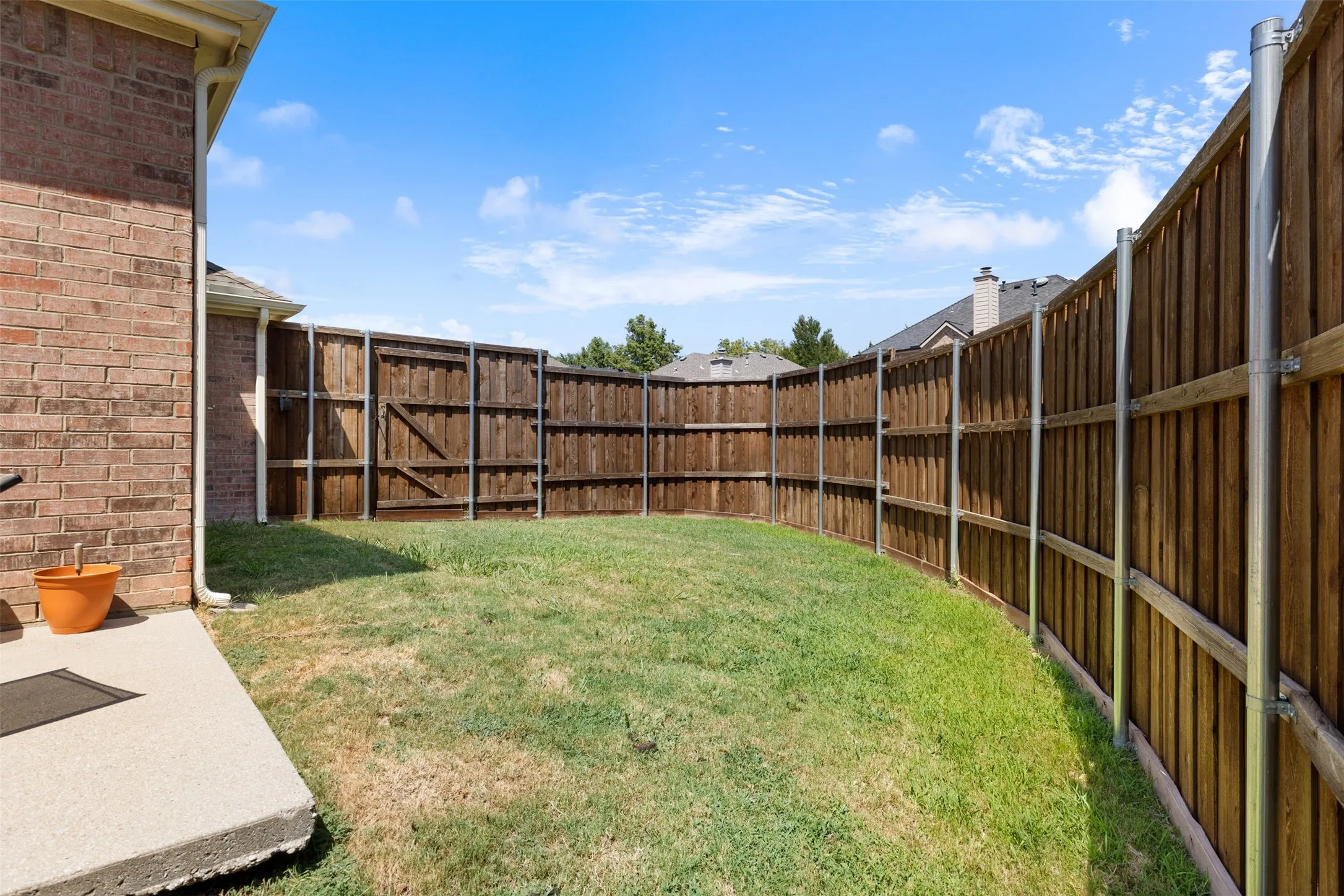 Back yard