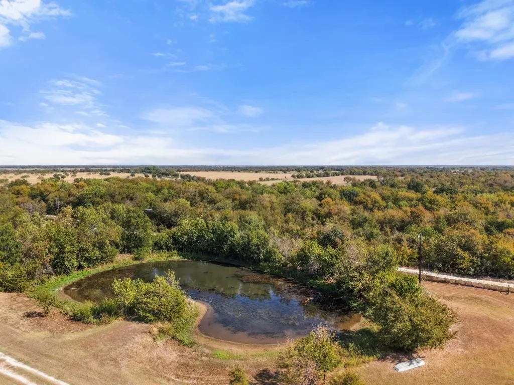 Natural pond surrounded by mature trees, expansive open land, and a clear blue sky