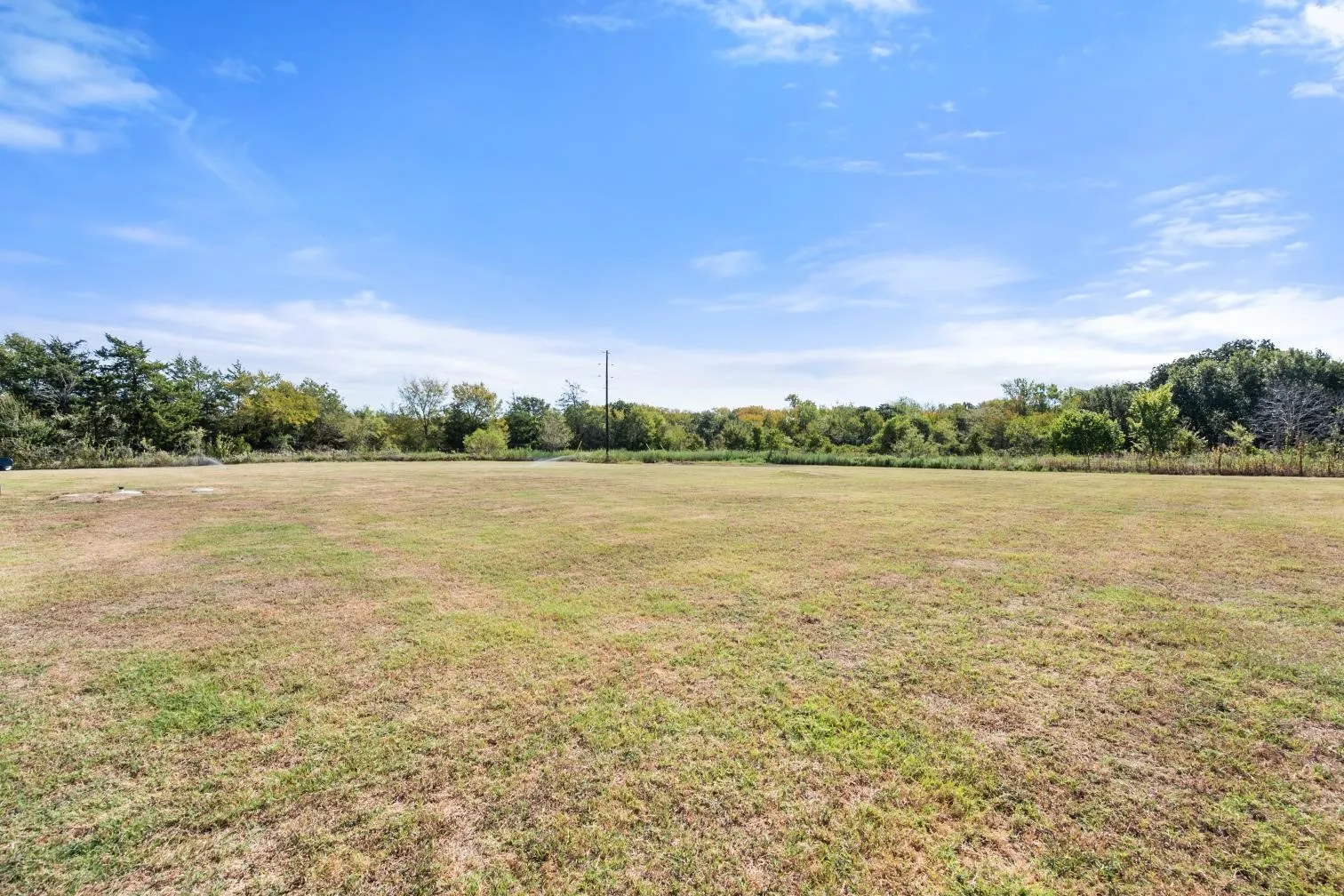 Expansive open field