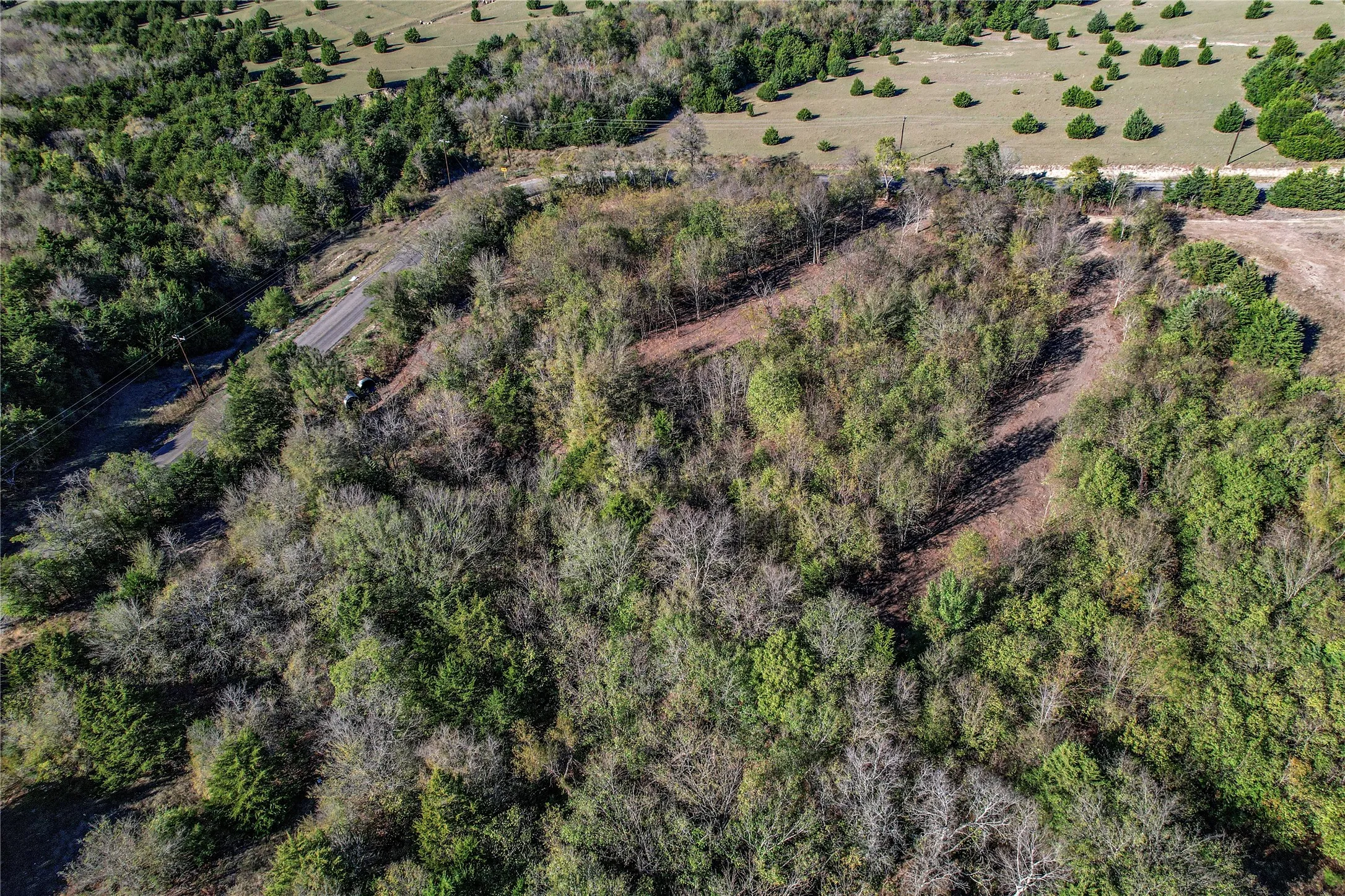 Unimproved Land For Sale in Collin County , Lot 5 CR 643, Nevada, Texas 75173, 0, 0, Garage spaces, 0 Sqft, built in 0, mls#21399069, Real Estate Agent in Nevada, Homes For Sale in Collin county, Homes For Sale in Nevada, Realtor in Nevada Texas, Real Estate Brokerage Independent Realty Texas, Luminita Cordes Realtor