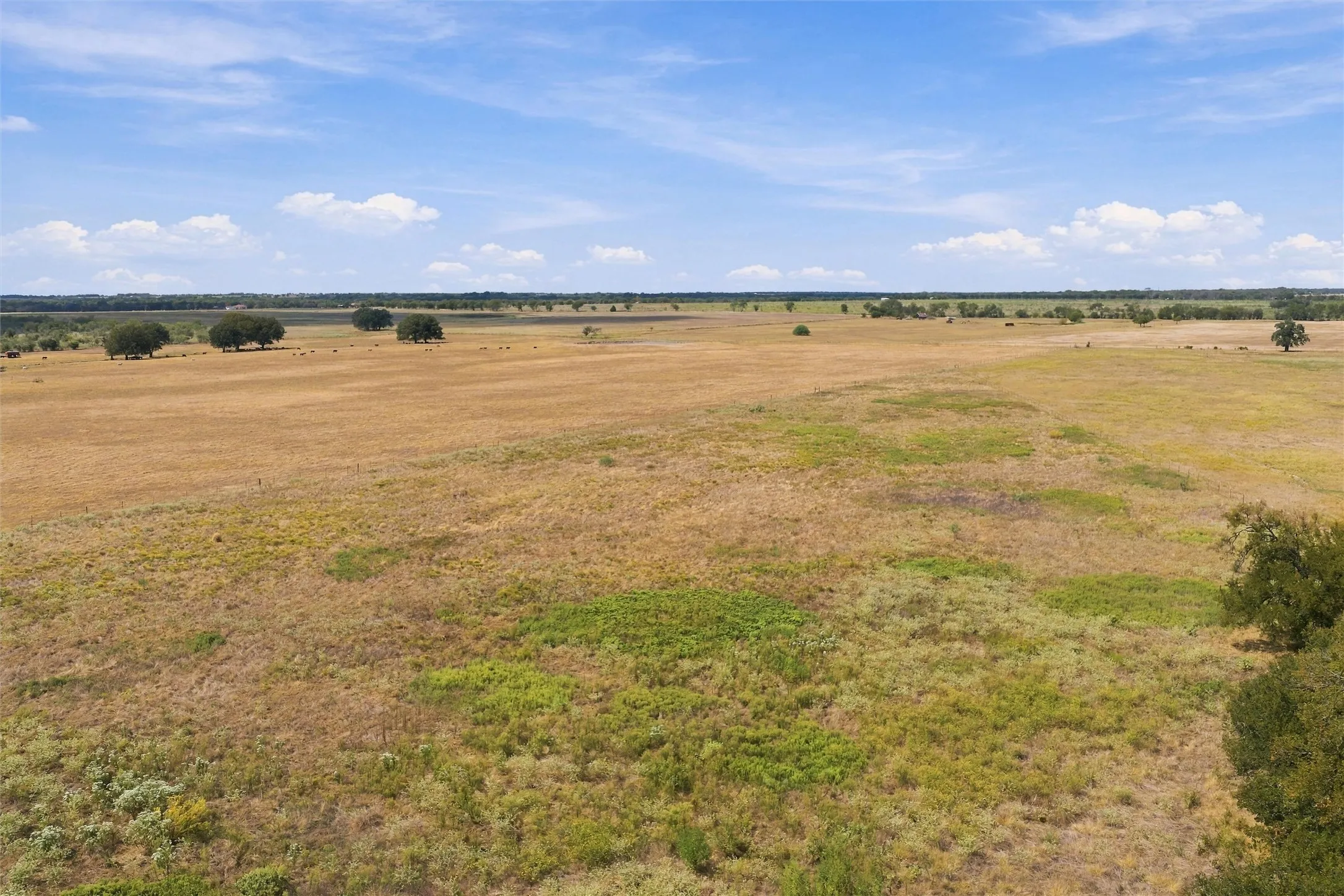 Ranch For Sale in Falls County , 815 Fm 147, Marlin, Texas 76661, 0, 0, Garage spaces, 0 Sqft, built in 0, mls#21397899, Real Estate Agent in Marlin, Homes For Sale in Falls county, Homes For Sale in Marlin, Realtor in Marlin Texas, Real Estate Brokerage Independent Realty Texas, Luminita Cordes Realtor