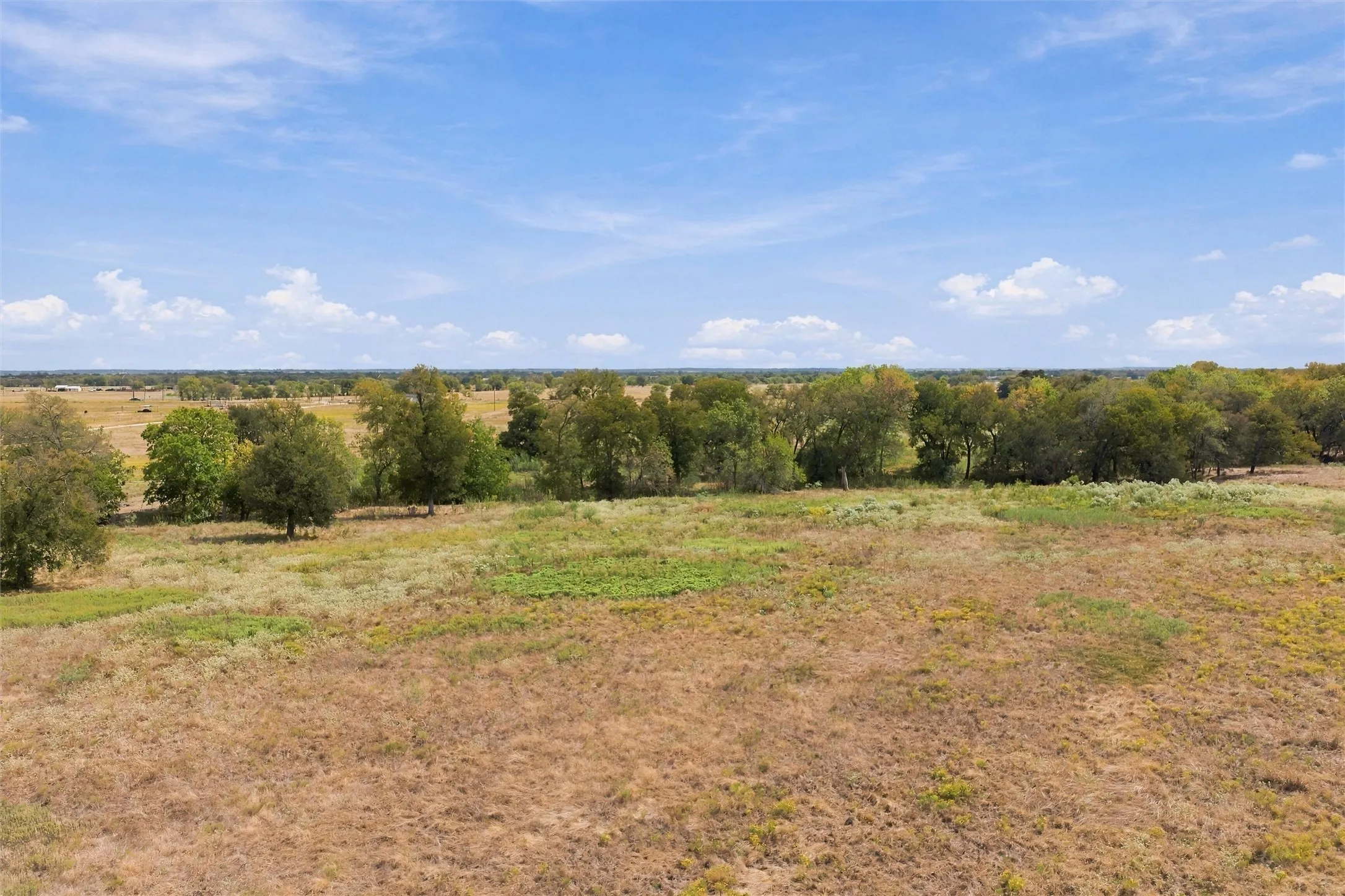 Expansive open acreage with natural tree lines