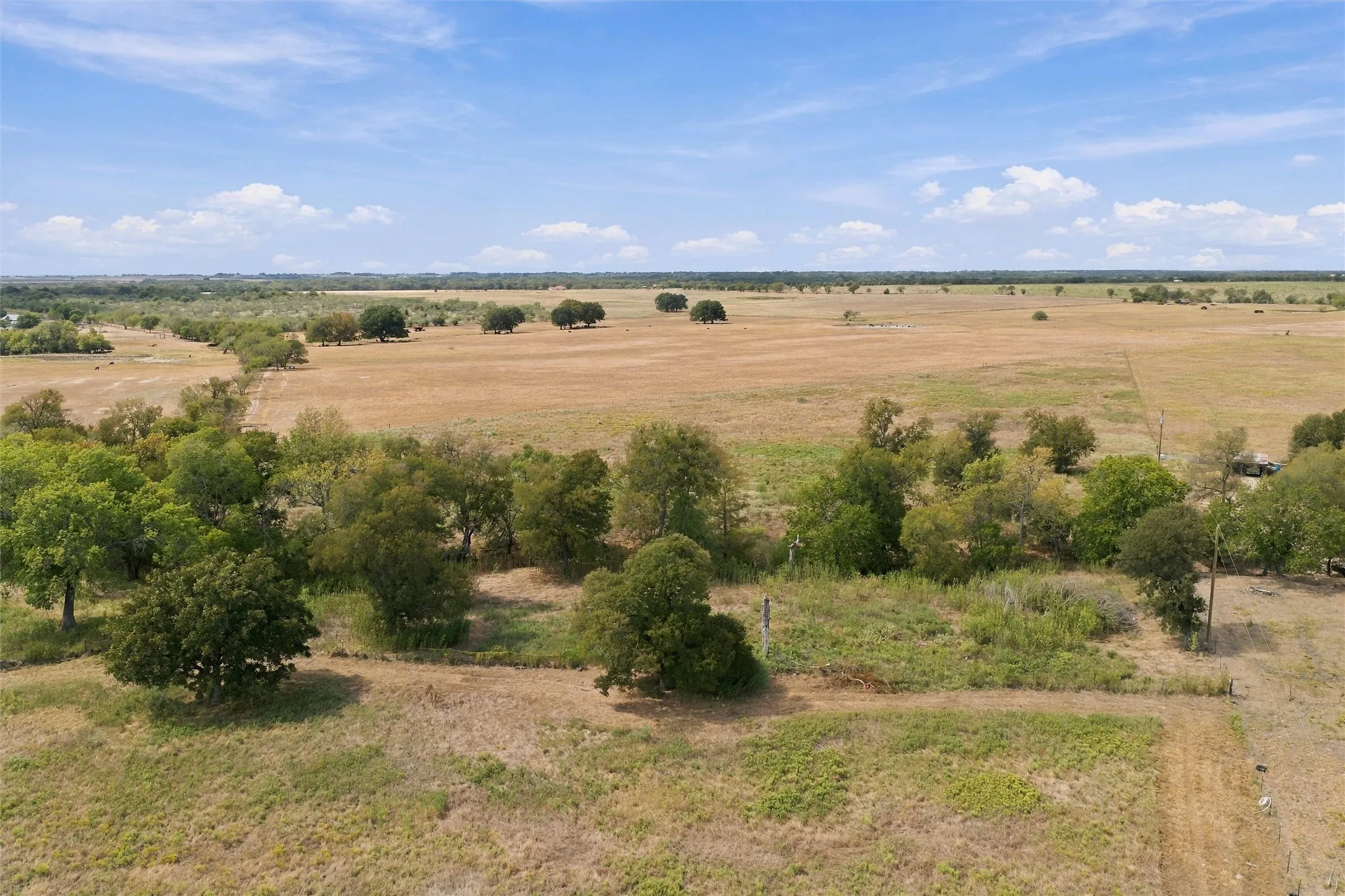 Expansive open fields featuring scattered mature trees and natural vegetation