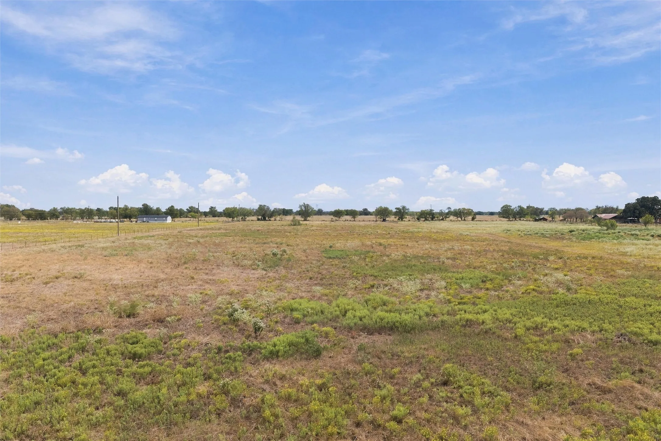 Expansive open land with varied natural ground cover and distant mature trees