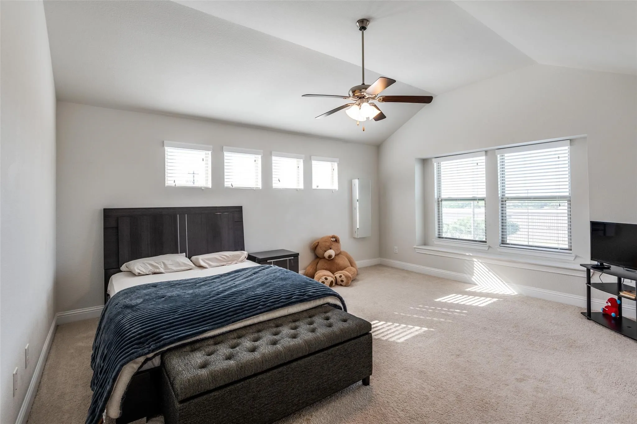 Vaulted ceiling with a ceiling fan, three transom windows, two expansive windows with blinds, and neutral carpet flooring