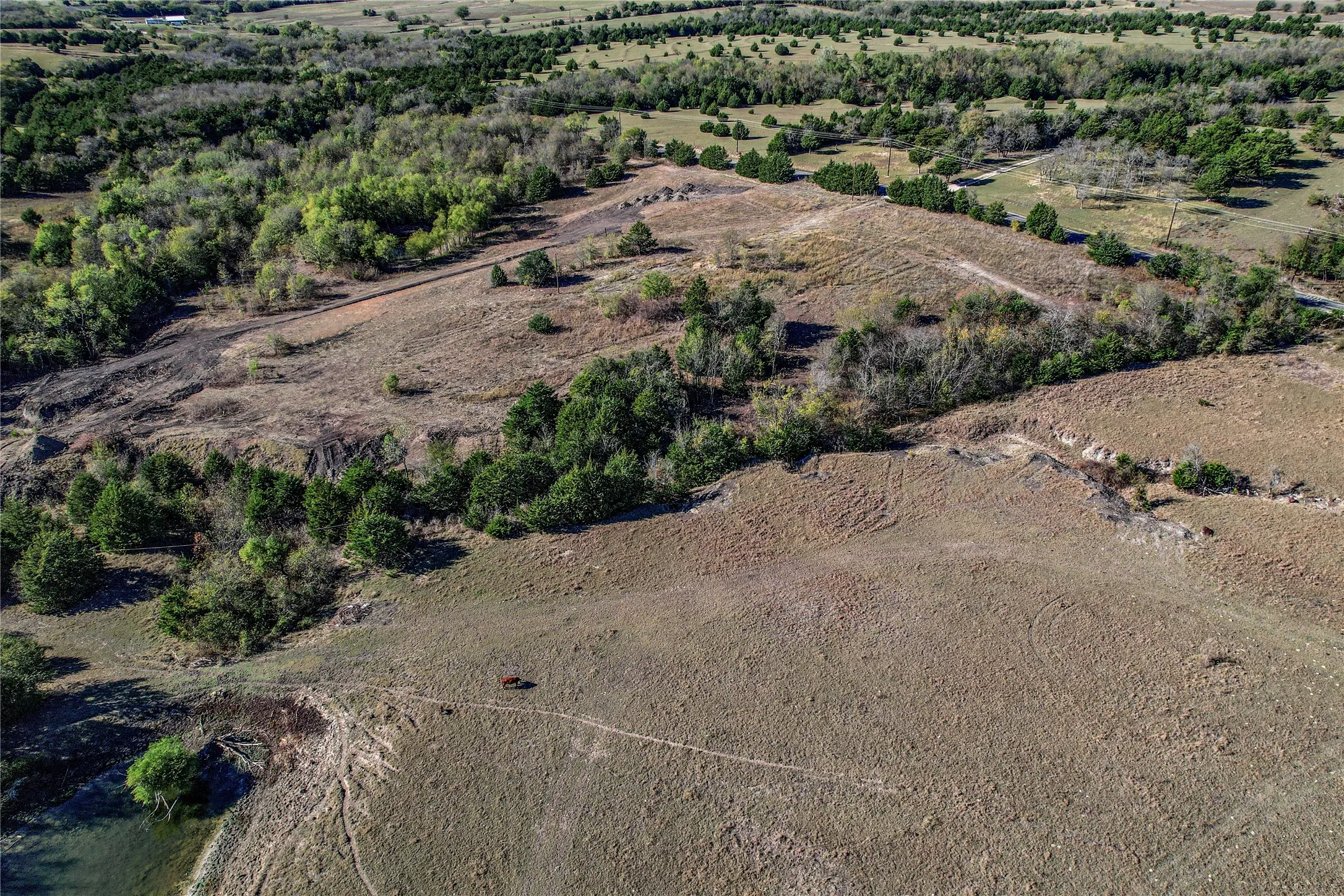 Unimproved Land For Sale in Collin County , Lot 8 CR 643, Nevada, Texas 75173, 0, 0, Garage spaces, 0 Sqft, built in 0, mls#21399096, Real Estate Agent in Nevada, Homes For Sale in Collin county, Homes For Sale in Nevada, Realtor in Nevada Texas, Real Estate Brokerage Independent Realty Texas, Luminita Cordes Realtor