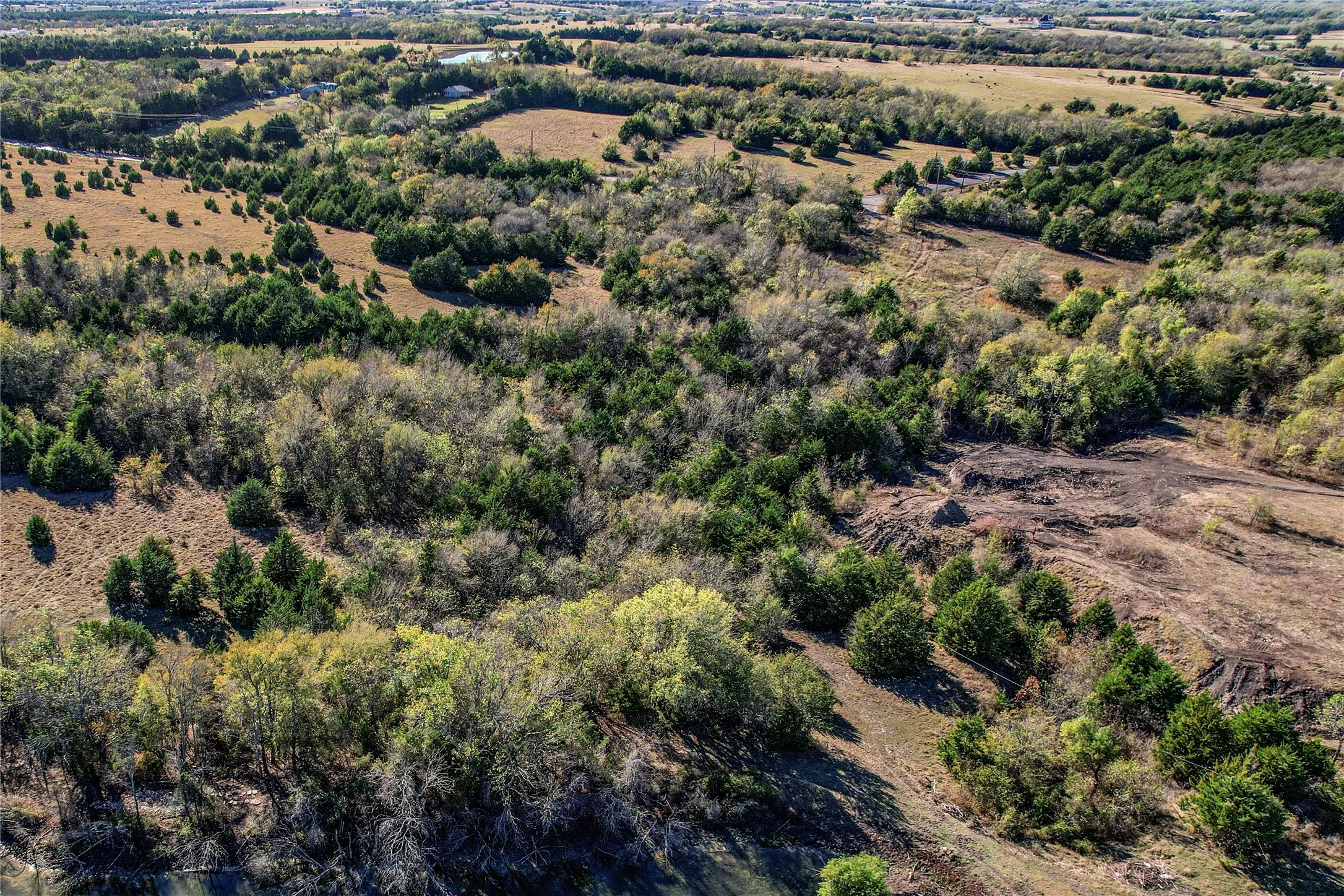 Unimproved Land For Sale in Collin County , Lot 9 CR 643, Nevada, Texas 75173, 0, 0, Garage spaces, 0 Sqft, built in 0, mls#21399107, Real Estate Agent in Nevada, Homes For Sale in Collin county, Homes For Sale in Nevada, Realtor in Nevada Texas, Real Estate Brokerage Independent Realty Texas, Luminita Cordes Realtor