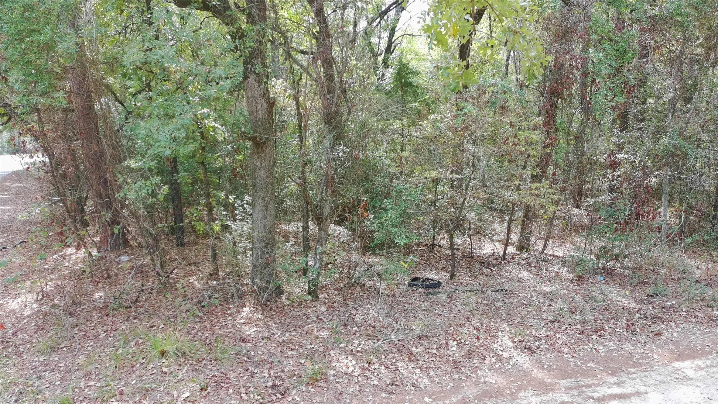 Improved Land For Sale in Wood County , 115 private road 7533, Hawkins, Texas 75765, 0, 0, Garage spaces, 0 Sqft, built in 0, mls#21399413, Real Estate Agent in Hawkins, Homes For Sale in Wood county, Homes For Sale in Hawkins, Realtor in Hawkins Texas, Real Estate Brokerage Independent Realty Texas, Luminita Cordes Realtor