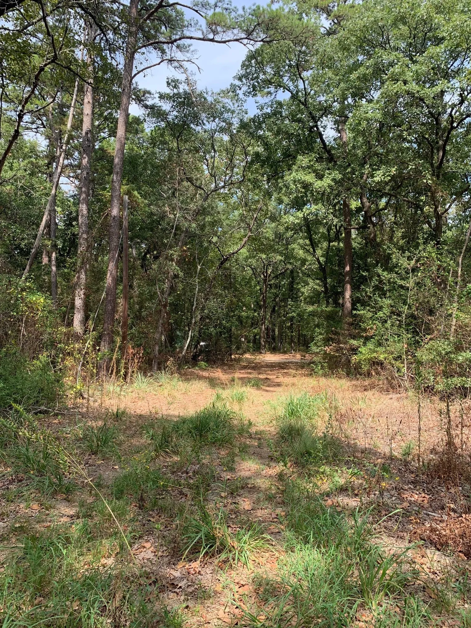 Improved Land For Sale in Wood County , 115 private road 7533, Hawkins, Texas 75765, 0, 0, Garage spaces, 0 Sqft, built in 0, mls#21399413, Real Estate Agent in Hawkins, Homes For Sale in Wood county, Homes For Sale in Hawkins, Realtor in Hawkins Texas, Real Estate Brokerage Independent Realty Texas, Luminita Cordes Realtor