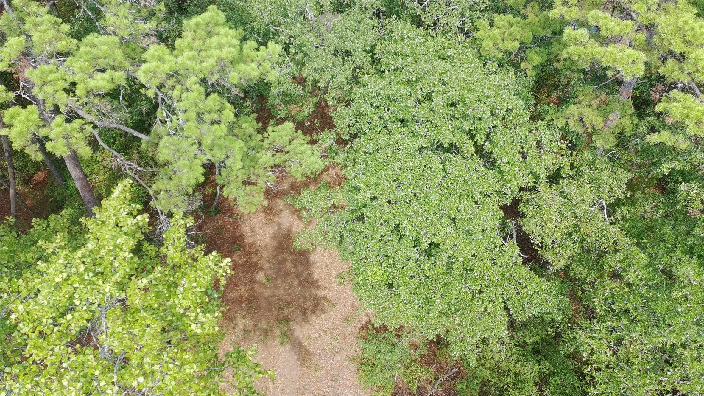 Improved Land For Sale in Wood County , 115 private road 7533, Hawkins, Texas 75765, 0, 0, Garage spaces, 0 Sqft, built in 0, mls#21399413, Real Estate Agent in Hawkins, Homes For Sale in Wood county, Homes For Sale in Hawkins, Realtor in Hawkins Texas, Real Estate Brokerage Independent Realty Texas, Luminita Cordes Realtor