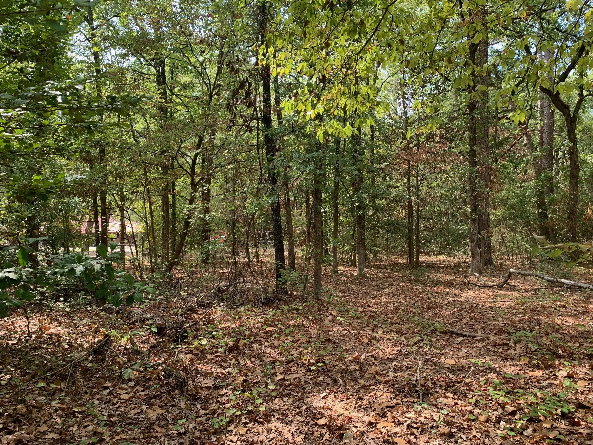 Improved Land For Sale in Wood County , 115 private road 7533, Hawkins, Texas 75765, 0, 0, Garage spaces, 0 Sqft, built in 0, mls#21399413, Real Estate Agent in Hawkins, Homes For Sale in Wood county, Homes For Sale in Hawkins, Realtor in Hawkins Texas, Real Estate Brokerage Independent Realty Texas, Luminita Cordes Realtor