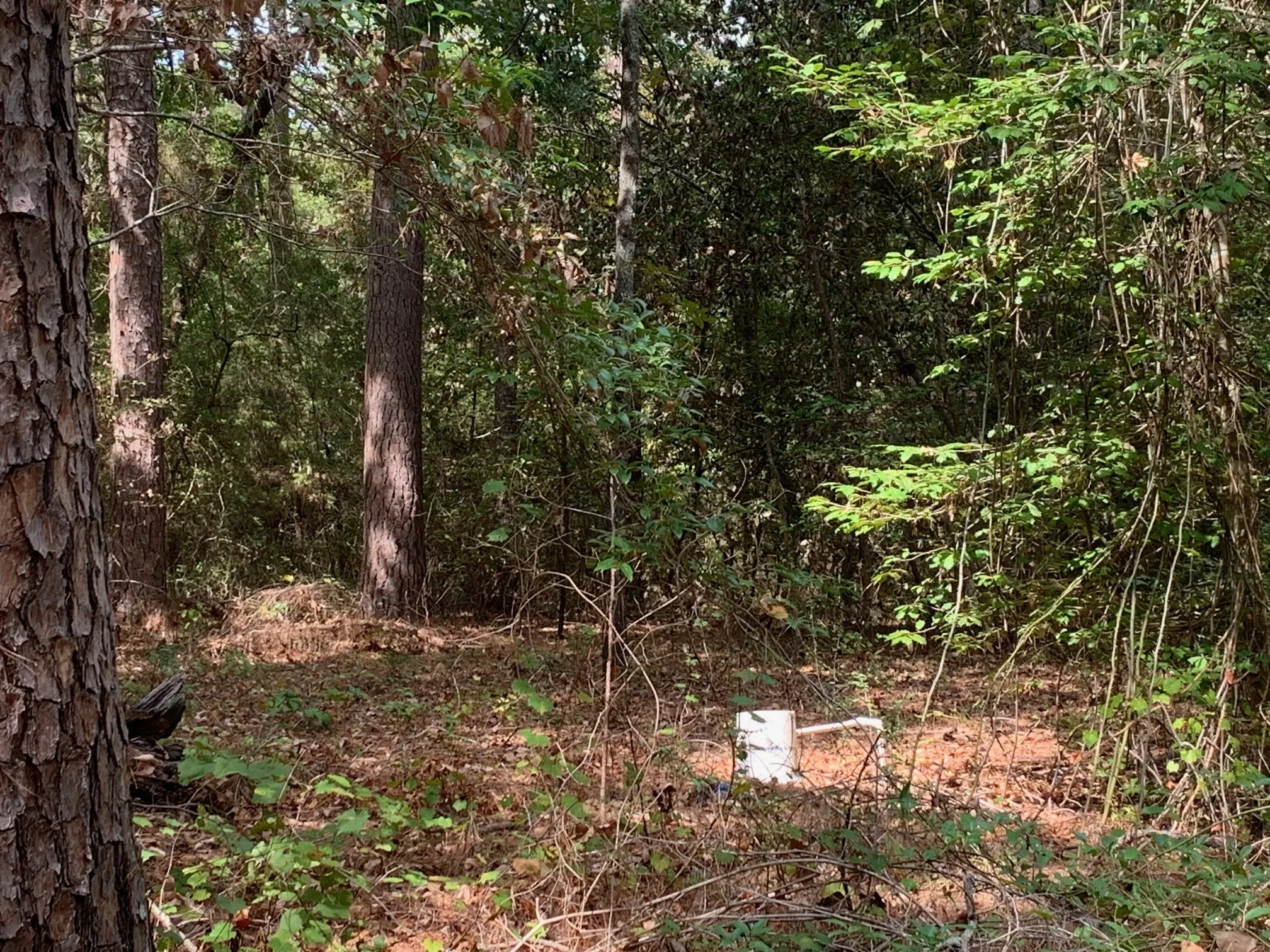 Improved Land For Sale in Wood County , 115 private road 7533, Hawkins, Texas 75765, 0, 0, Garage spaces, 0 Sqft, built in 0, mls#21399413, Real Estate Agent in Hawkins, Homes For Sale in Wood county, Homes For Sale in Hawkins, Realtor in Hawkins Texas, Real Estate Brokerage Independent Realty Texas, Luminita Cordes Realtor
