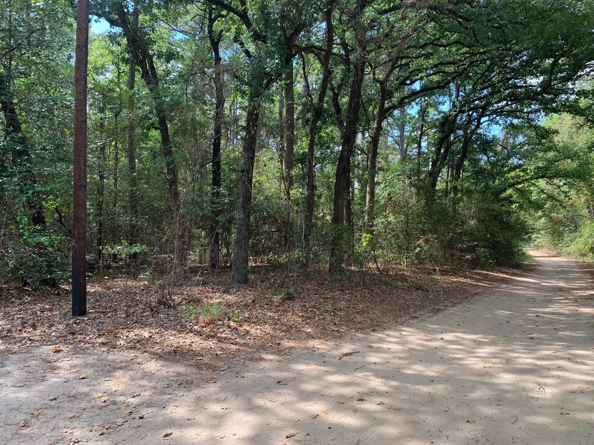 Improved Land For Sale in Wood County , 115 private road 7533, Hawkins, Texas 75765, 0, 0, Garage spaces, 0 Sqft, built in 0, mls#21399413, Real Estate Agent in Hawkins, Homes For Sale in Wood county, Homes For Sale in Hawkins, Realtor in Hawkins Texas, Real Estate Brokerage Independent Realty Texas, Luminita Cordes Realtor