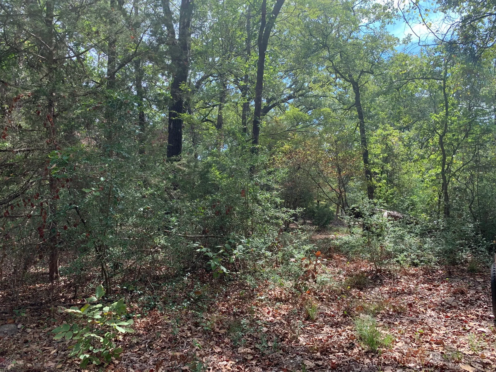 Improved Land For Sale in Wood County , 115 private road 7533, Hawkins, Texas 75765, 0, 0, Garage spaces, 0 Sqft, built in 0, mls#21399413, Real Estate Agent in Hawkins, Homes For Sale in Wood county, Homes For Sale in Hawkins, Realtor in Hawkins Texas, Real Estate Brokerage Independent Realty Texas, Luminita Cordes Realtor