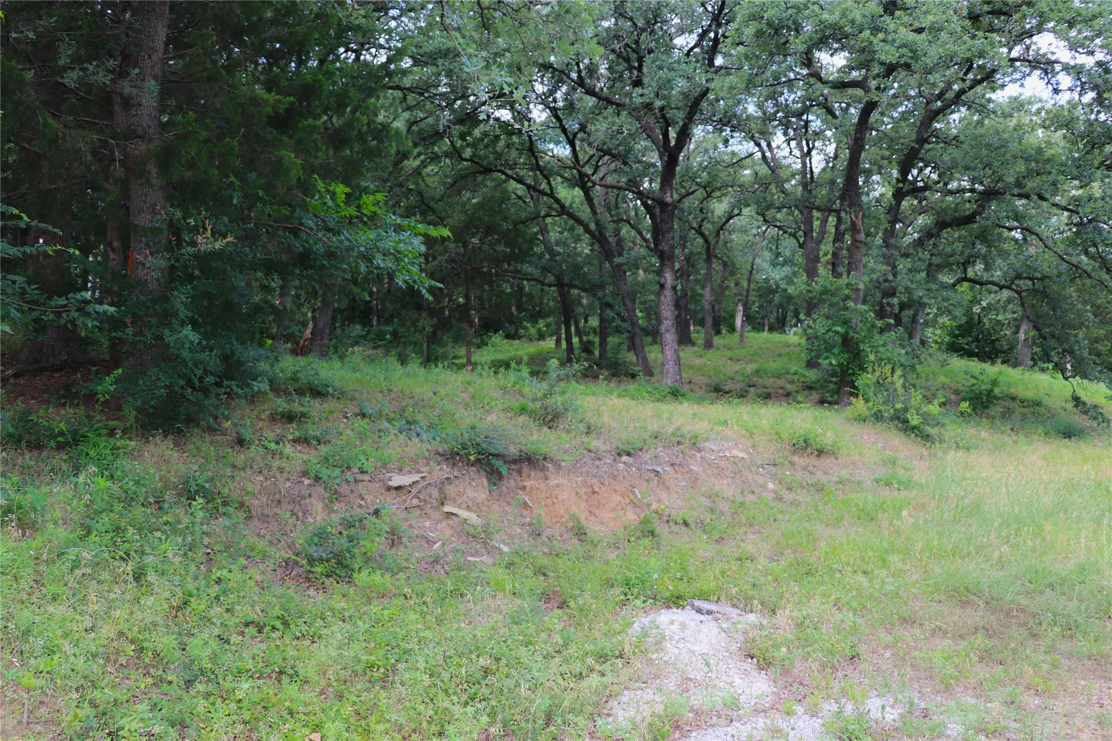 Unimproved Land For Sale in Tarrant County , 1200 Shannon Lane, Bedford, Texas 76022, 0, 0, Garage spaces, 0 Sqft, built in 0, mls#21306806, Real Estate Agent in Bedford, Homes For Sale in Tarrant county, Homes For Sale in Bedford, Realtor in Bedford Texas, Real Estate Brokerage Independent Realty Texas, Luminita Cordes Realtor