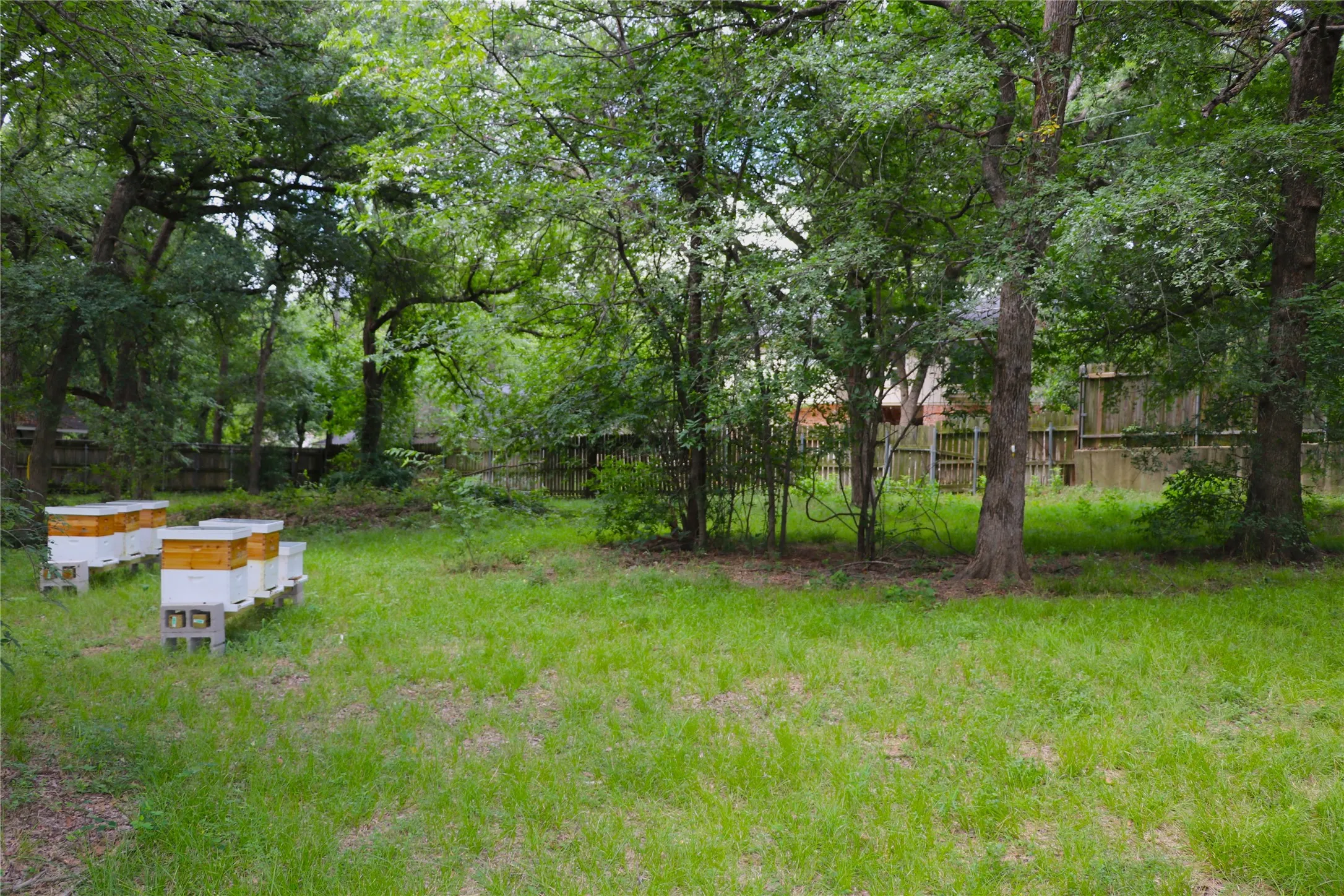 Unimproved Land For Sale in Tarrant County , 1200 Shannon Lane, Bedford, Texas 76022, 0, 0, Garage spaces, 0 Sqft, built in 0, mls#21306806, Real Estate Agent in Bedford, Homes For Sale in Tarrant county, Homes For Sale in Bedford, Realtor in Bedford Texas, Real Estate Brokerage Independent Realty Texas, Luminita Cordes Realtor