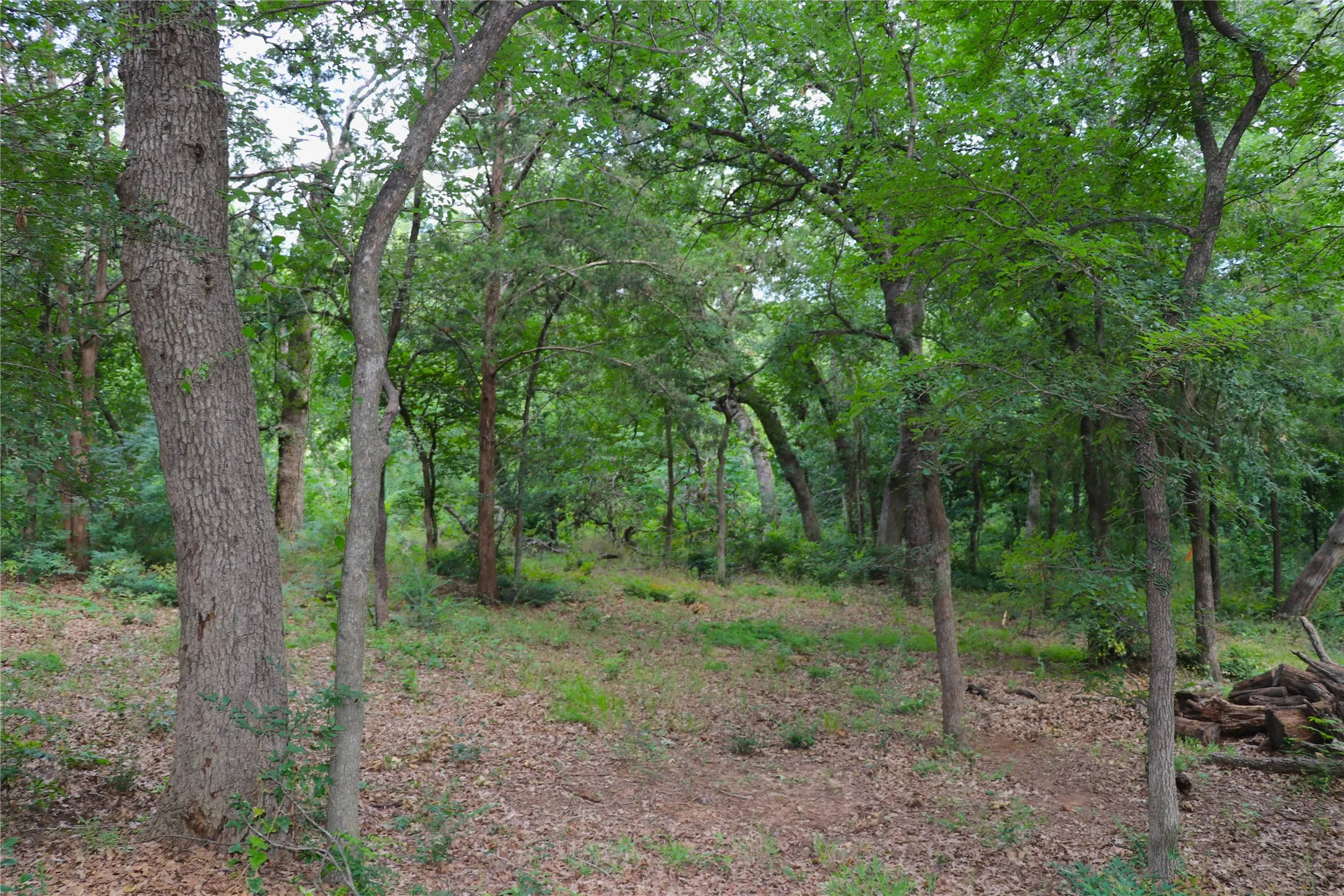 Unimproved Land For Sale in Tarrant County , 1200 Shannon Lane, Bedford, Texas 76022, 0, 0, Garage spaces, 0 Sqft, built in 0, mls#21306806, Real Estate Agent in Bedford, Homes For Sale in Tarrant county, Homes For Sale in Bedford, Realtor in Bedford Texas, Real Estate Brokerage Independent Realty Texas, Luminita Cordes Realtor