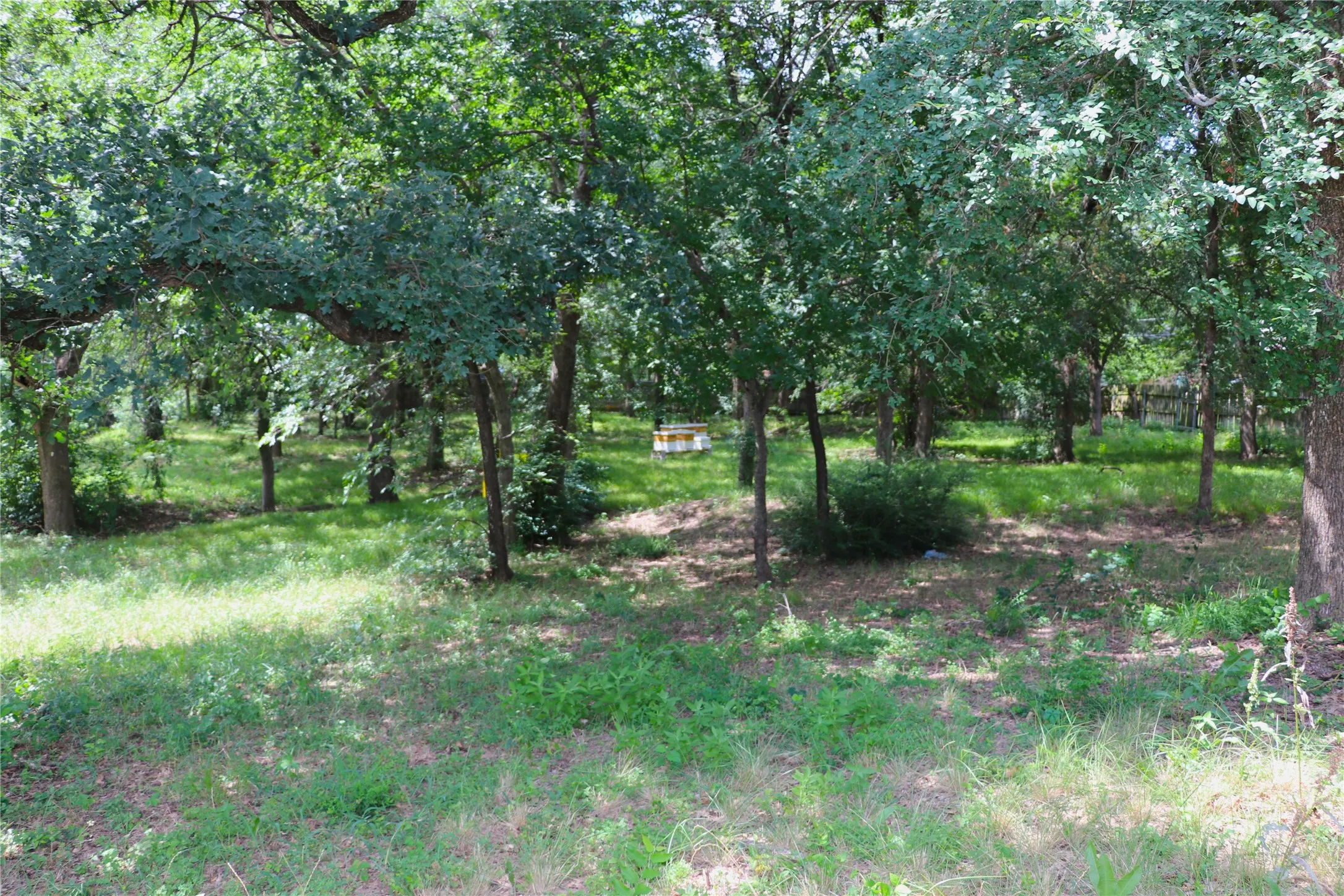 Unimproved Land For Sale in Tarrant County , 1200 Shannon Lane, Bedford, Texas 76022, 0, 0, Garage spaces, 0 Sqft, built in 0, mls#21306806, Real Estate Agent in Bedford, Homes For Sale in Tarrant county, Homes For Sale in Bedford, Realtor in Bedford Texas, Real Estate Brokerage Independent Realty Texas, Luminita Cordes Realtor