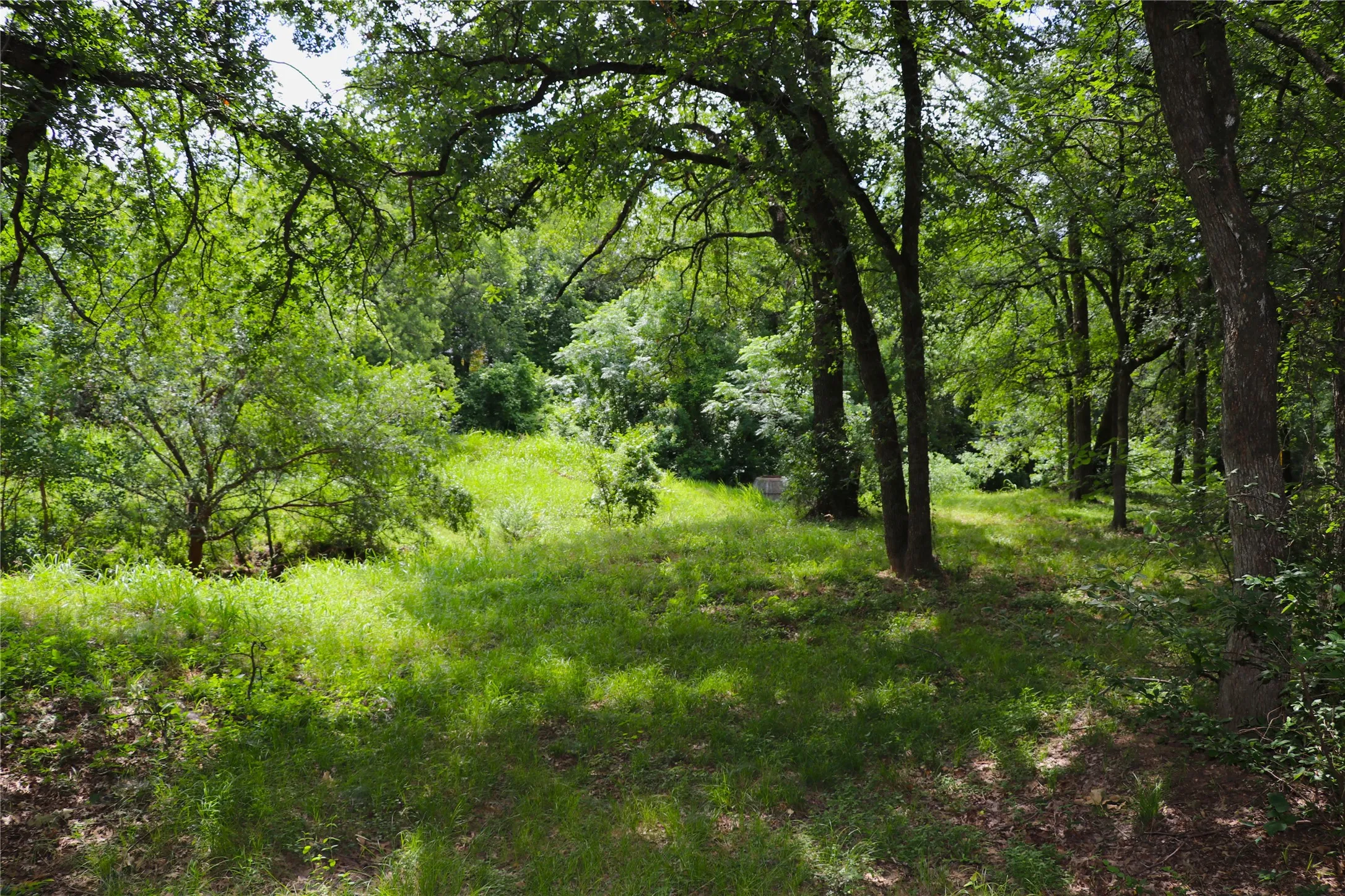 Unimproved Land For Sale in Tarrant County , 1200 Shannon Lane, Bedford, Texas 76022, 0, 0, Garage spaces, 0 Sqft, built in 0, mls#21306806, Real Estate Agent in Bedford, Homes For Sale in Tarrant county, Homes For Sale in Bedford, Realtor in Bedford Texas, Real Estate Brokerage Independent Realty Texas, Luminita Cordes Realtor