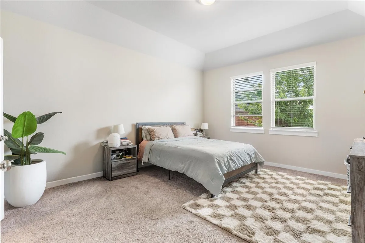 Recessed ceiling with an overhead light fixture, two windows with blinds, and neutral-toned carpeting