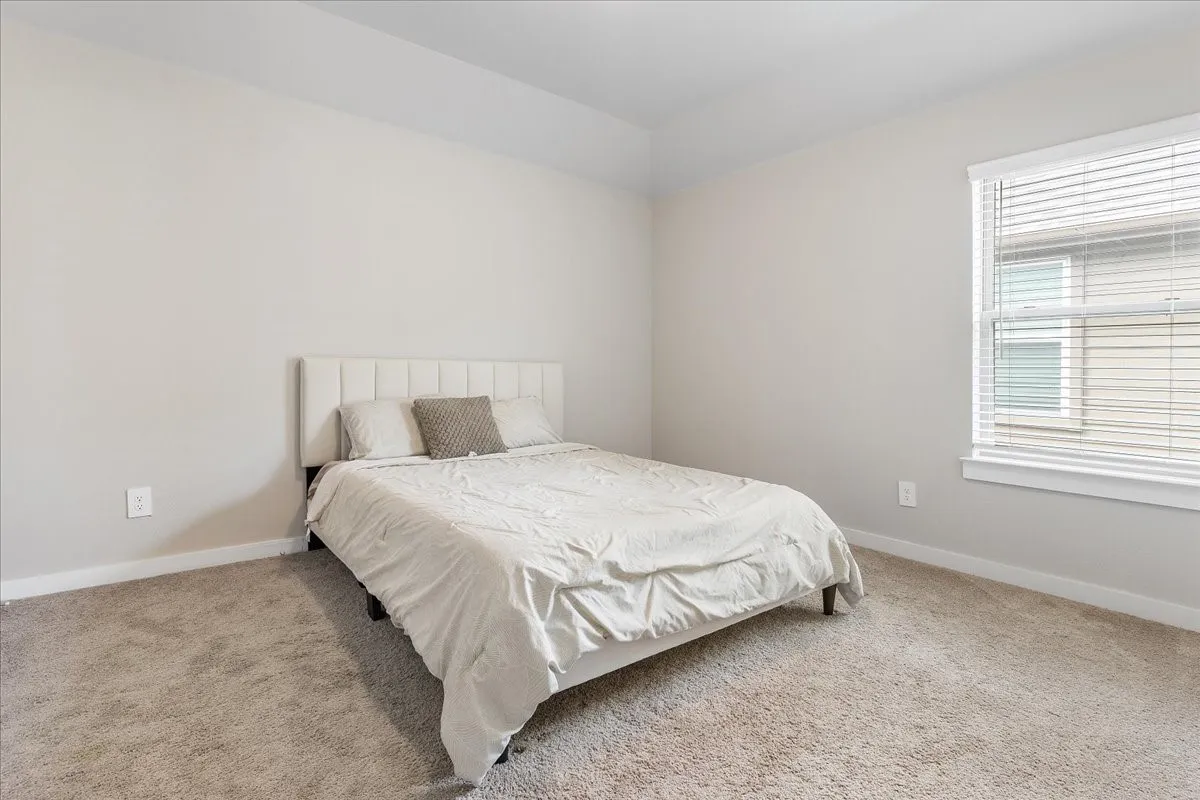 Plush carpet flooring, neutral wall paint, white window trim, and a tray ceiling