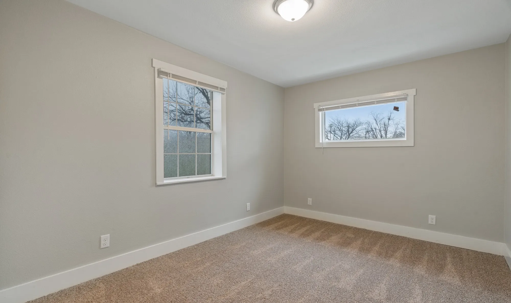 Neutral wall paint, carpet flooring, multiple windows, and a flush mount ceiling light