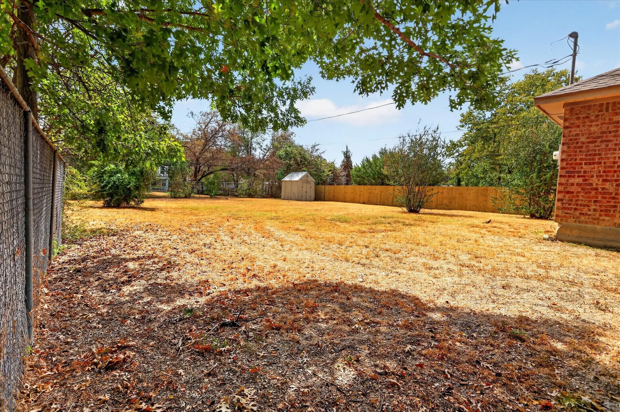 Expansive yard featuring a chain-link fence, a wooden privacy fence, mature trees, and a storage shed