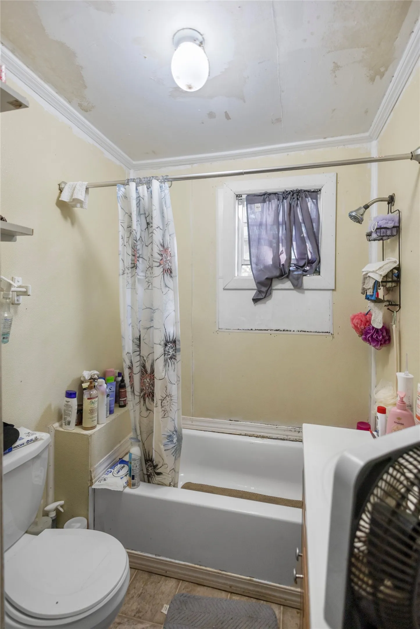 Single Family Residence For Sale in Harrison County , 706 Yaney Street, Marshall, Texas 75670, 2 Bedroom, 1 Bathroom, Garage spaces, 784 Sqft, built in 1945, mls#21400091, Real Estate Agent in Marshall, Homes For Sale in Harrison county, Homes For Sale in Marshall, Realtor in Marshall Texas, Real Estate Brokerage Independent Realty Texas, Luminita Cordes Realtor
